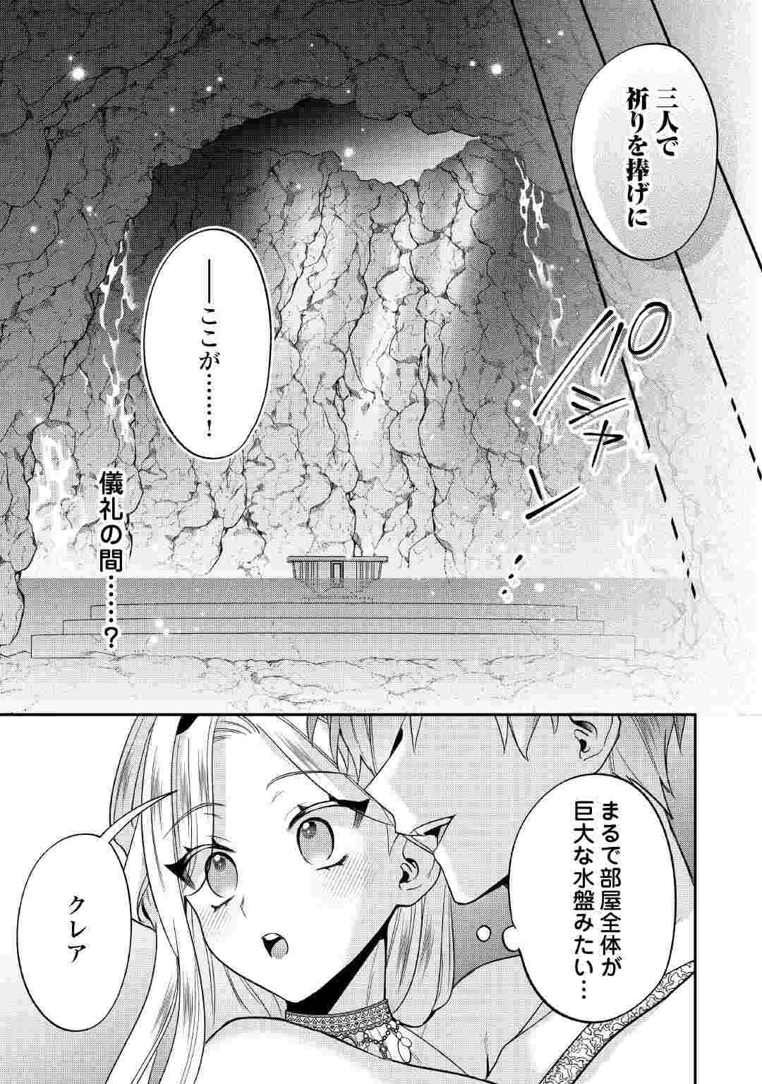 重婚なんてお断り! 絶対に双子の王子を見分けてみせます! 第16話 - 21