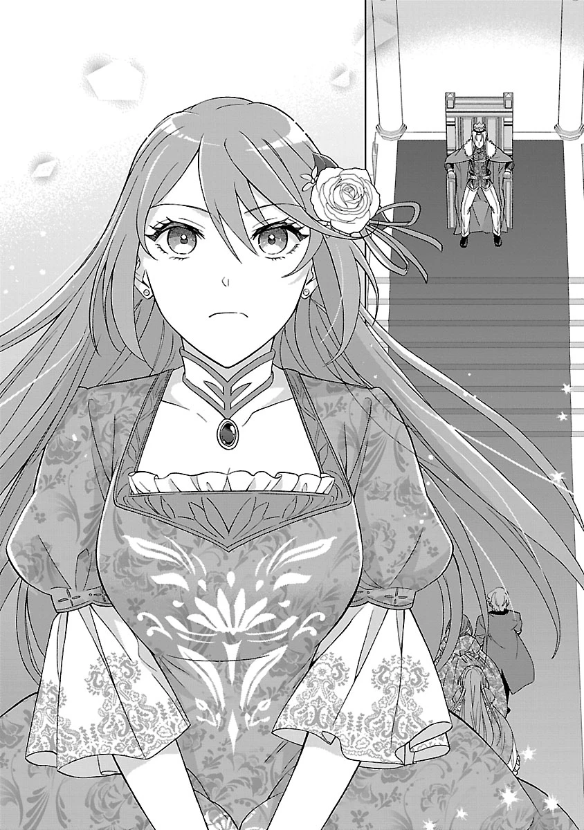 皇帝の隠し子の令嬢は暴れん坊公爵令息の手綱を握る。 第3話 - 26