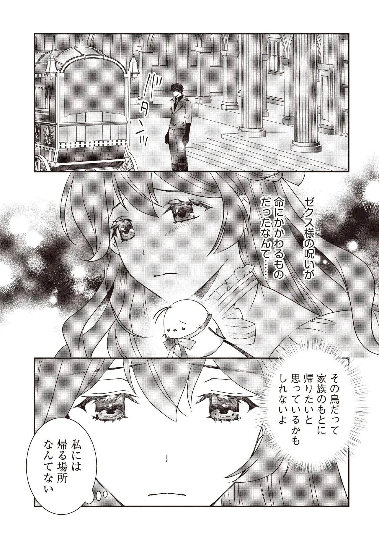 最恐辺境伯に拾われました、小鳥(=悪女?)です 第8話 - 7