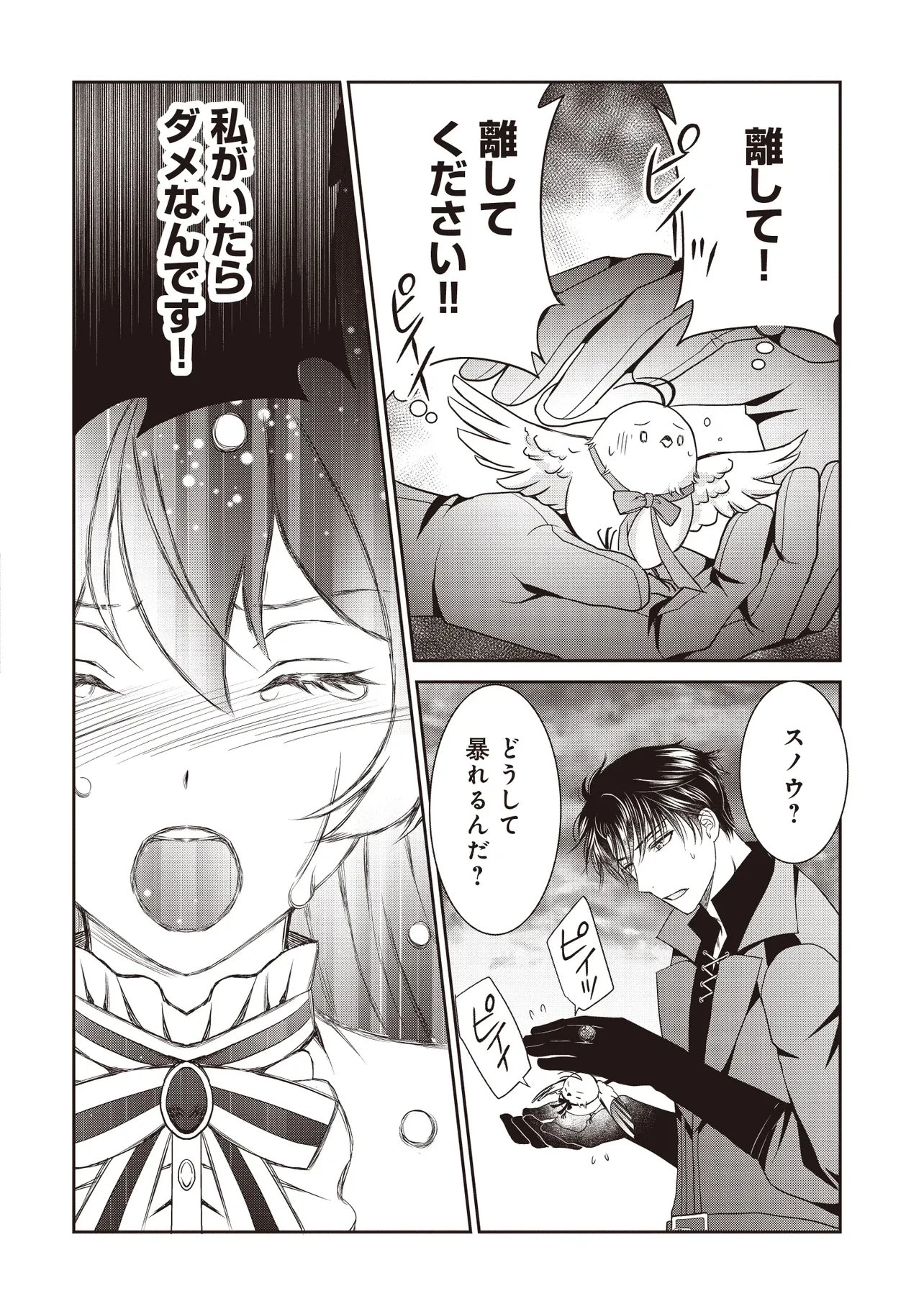 最恐辺境伯に拾われました、小鳥(=悪女?)です 第8話 - 16