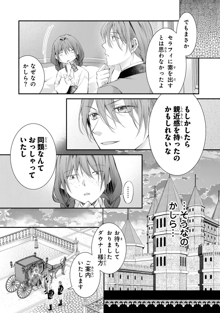 婚約破棄されたいので素顔を隠して残念令嬢になります!え?腹黒王子にバレてるとか聞いてないんですけど!? 第11話 - 3