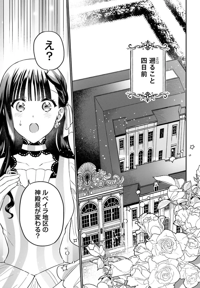 お飾り王妃になったので、こっそり働きに出ることにしました ～うさぎがいるので独り寝も寂しくありません！～ 第35話 - 4