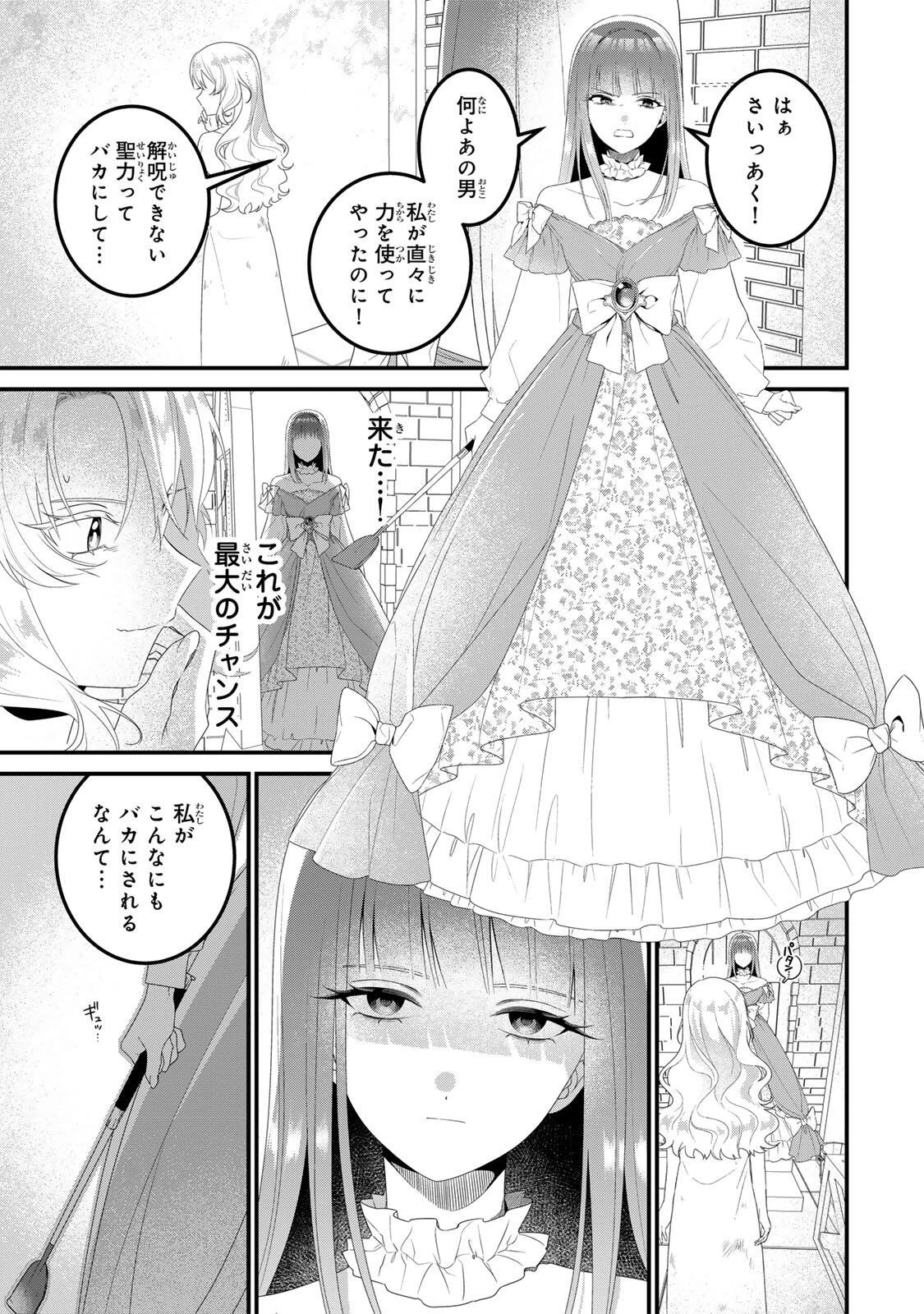 死に戻り聖女は毒家族と決別する〜未来を変えたら、狂暴王子様の溺愛が待ってました!?〜 第2話 - 9