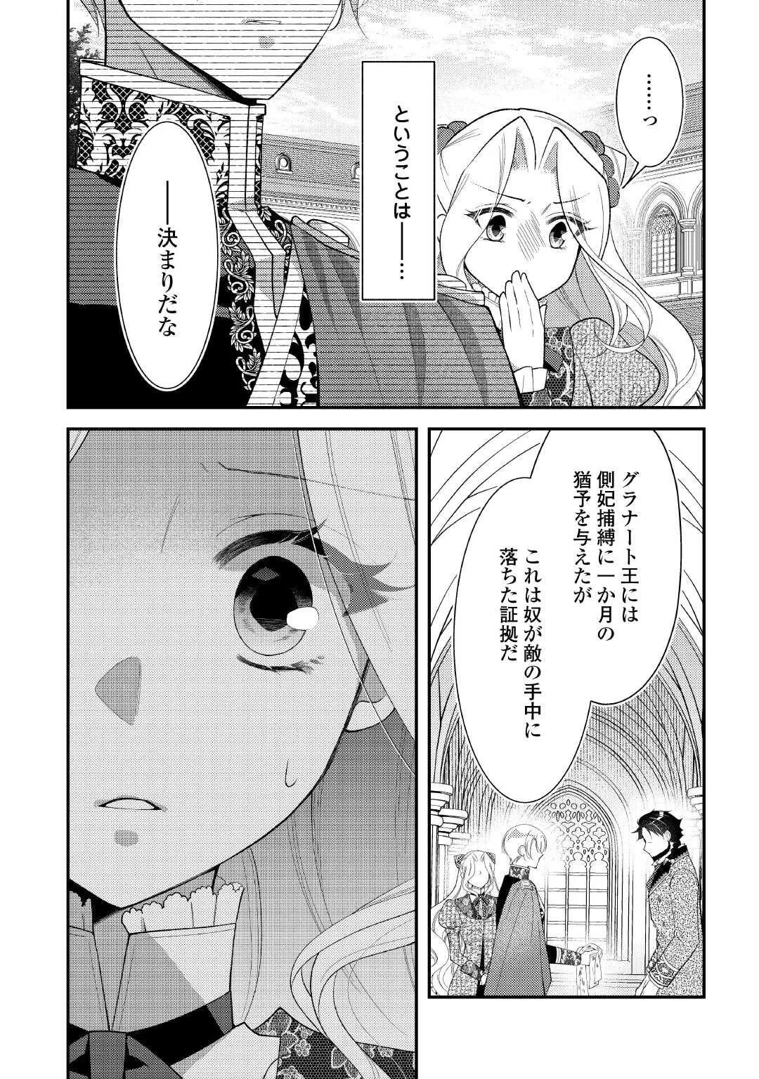 死んだ王妃は二度目の人生を楽しみます ーお飾りの王妃は必要ないのでしょう?ー 第18話 - 24