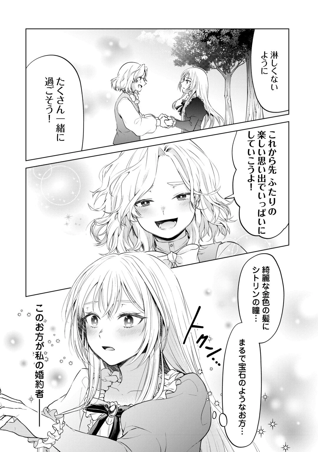 皆様どうぞ私をお忘れください。-エリザベートが消した愛- 第1話 - 14