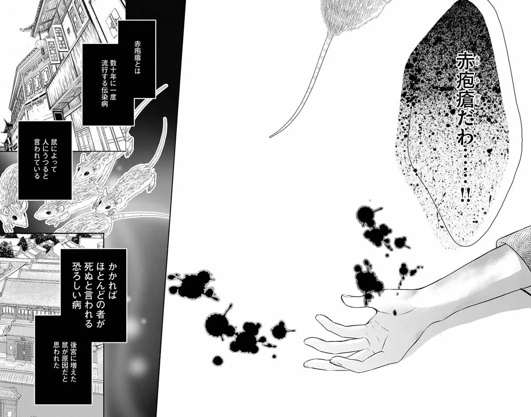 皇弟殿下の薬湯妃～初恋の人との駆け落ち先は後宮でした～ 第14話 - 14