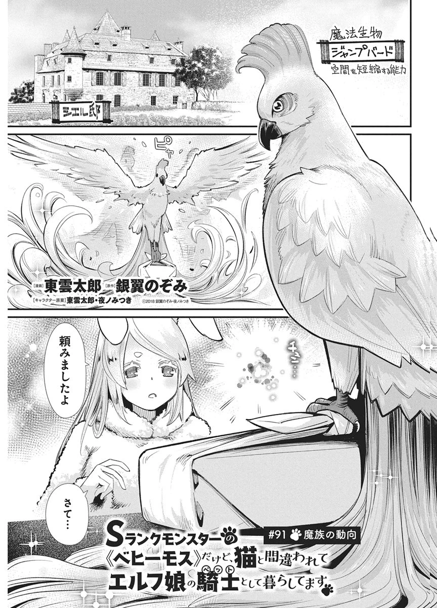 Sランクモンスターの《ベヒーモス》だけどネコと間違われてエルフ娘の騎士として暮らしています 第91話 - 1