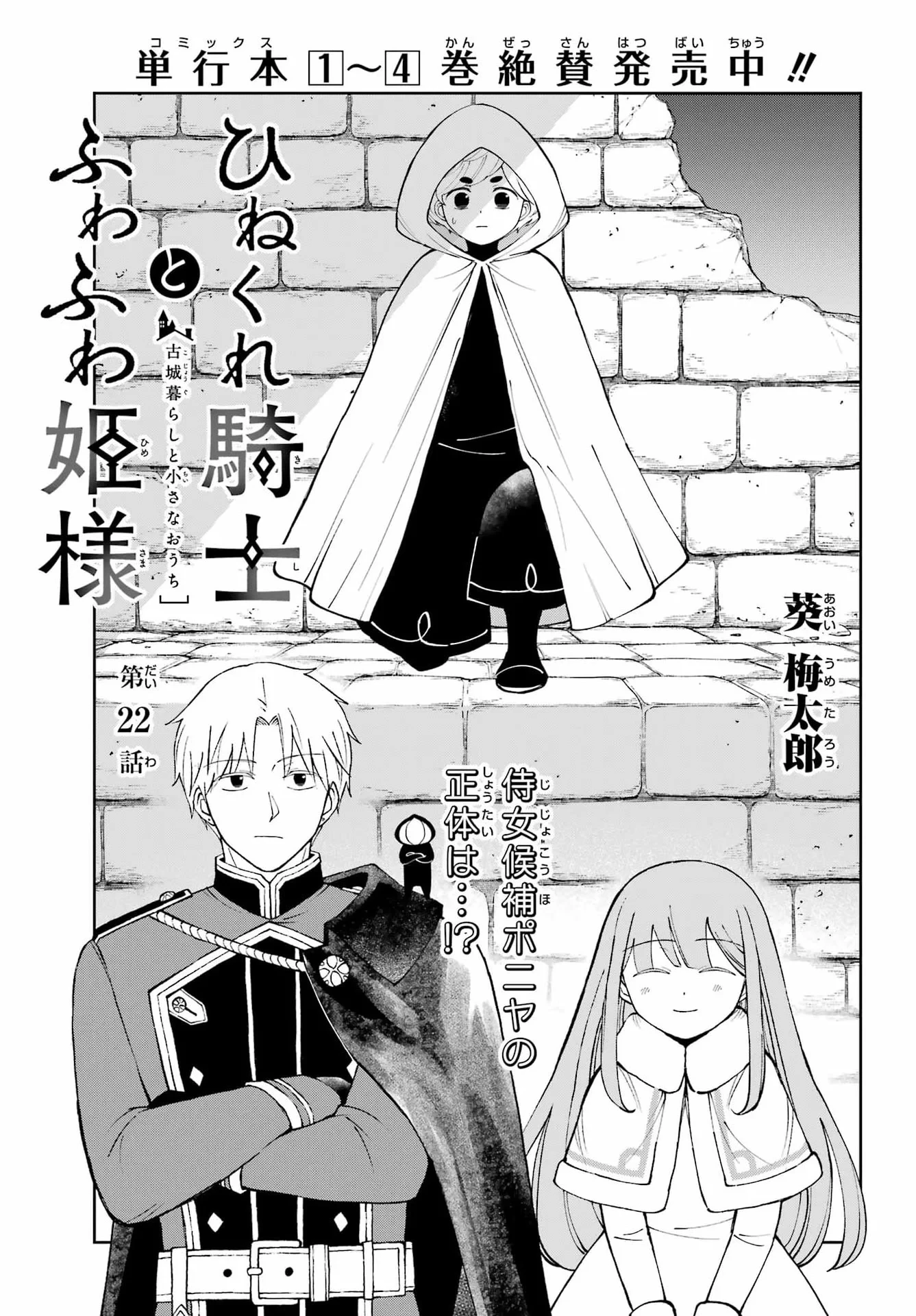 ひねくれ騎士とふわふわ姫様 古城暮らしと小さなおうち 第22話 - 3