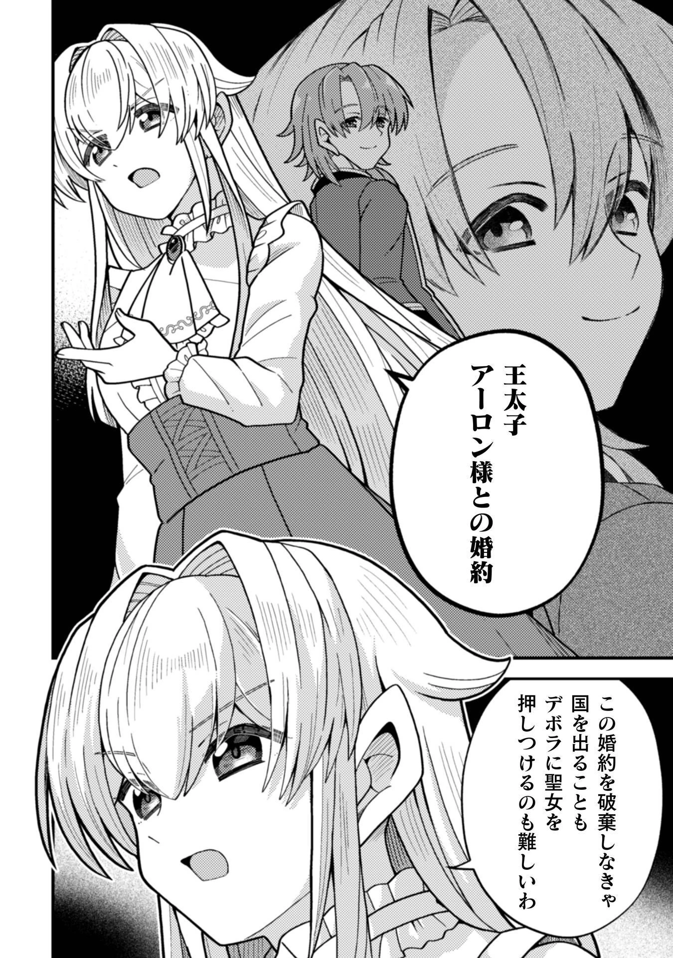 復讐姫にはなりたくないので全て悪役に押し付けます 第2話 - 17
