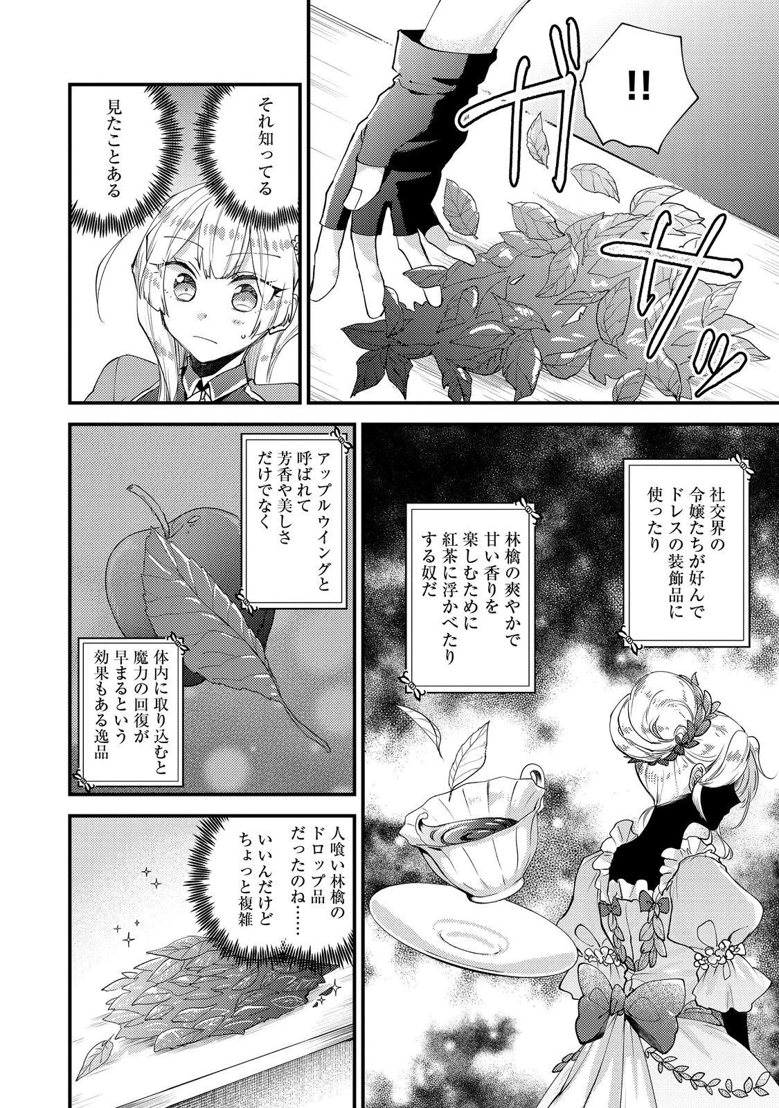 元悪役令嬢とＳ級冒険者のほのぼの街暮らし～不遇なキャラに転生してたけど、理想の美女になれたからプラマイゼロだよね～＠COMIC 第16話 - 12