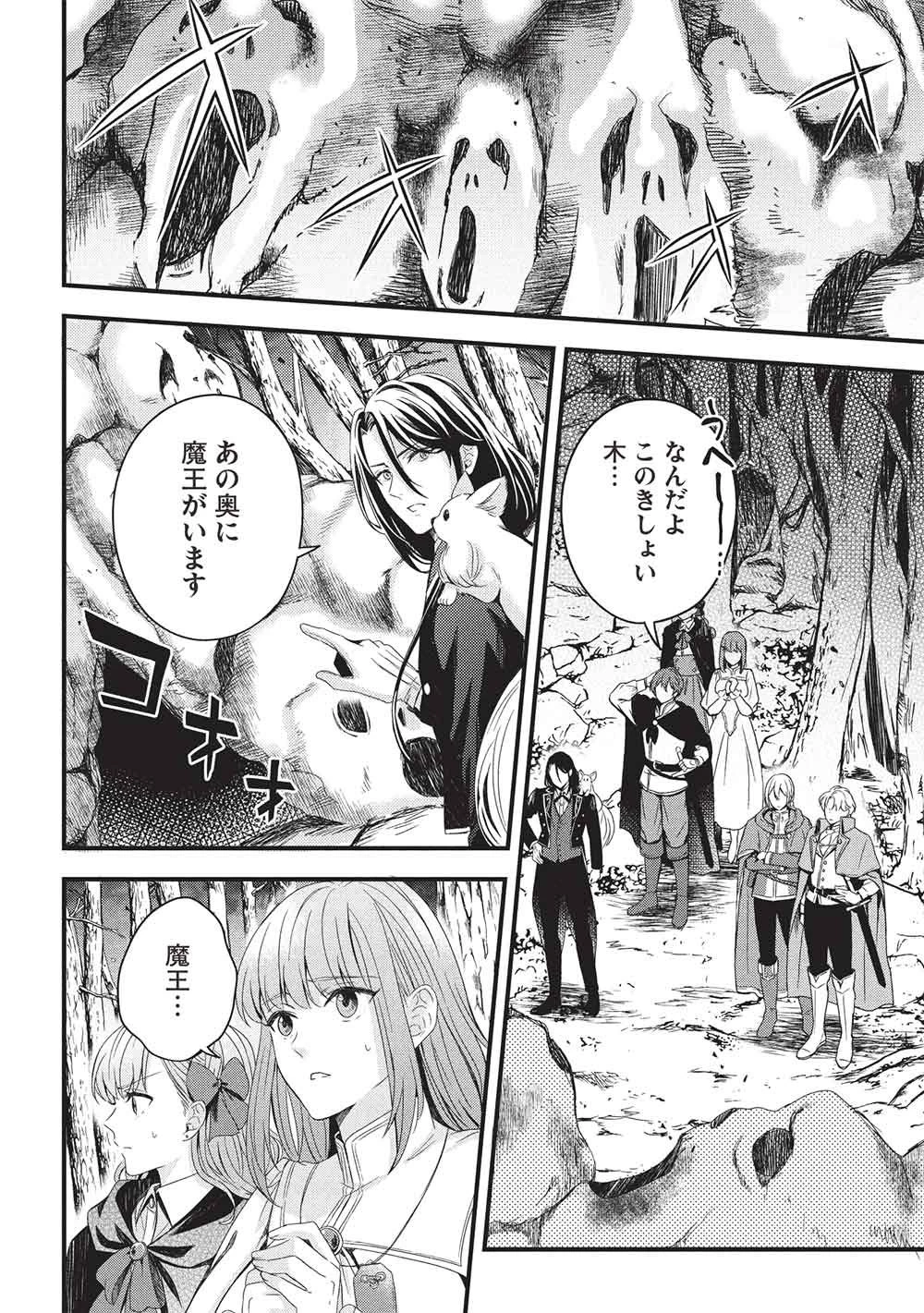 グランアヴェール～お守りの魔導師はラスボスお兄様を救いたい～ 第34話 - 8