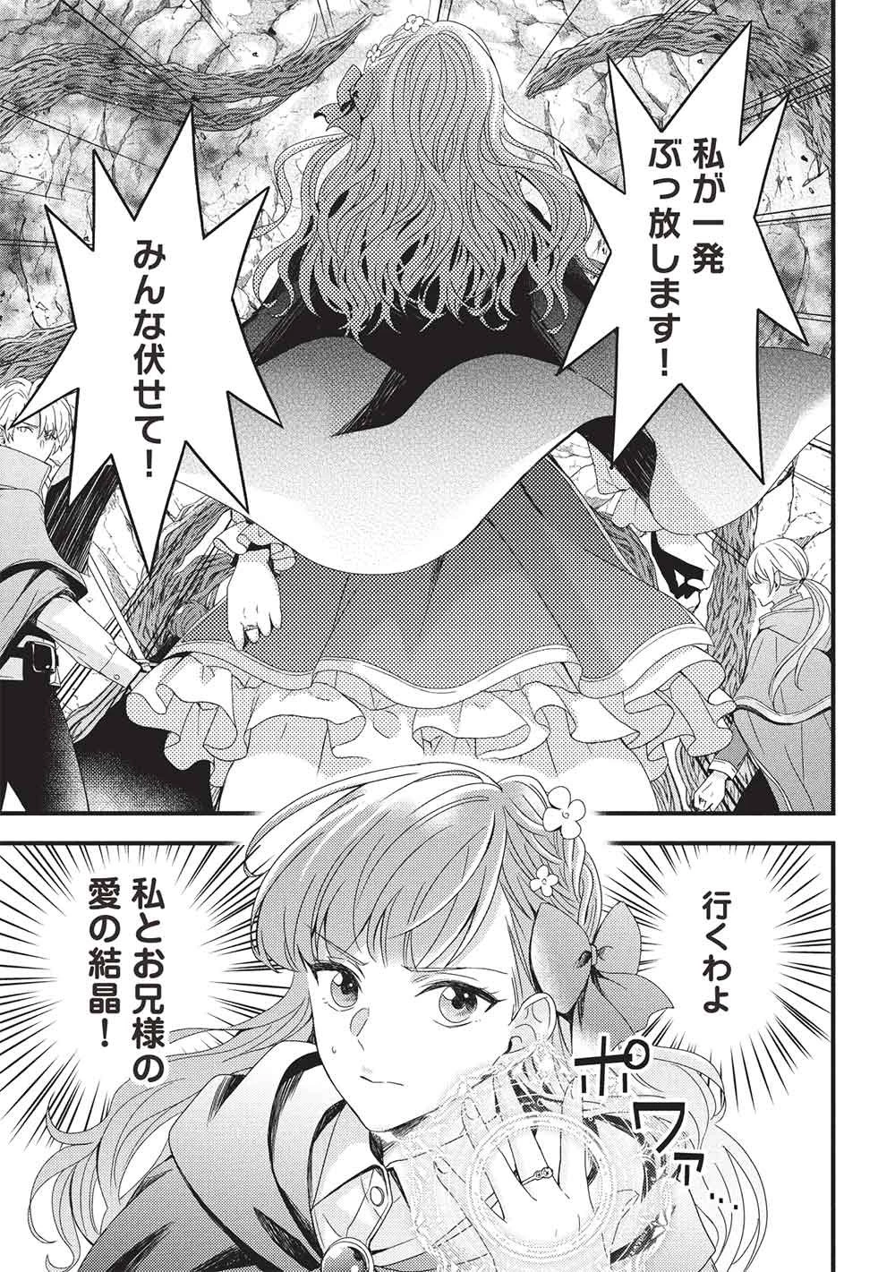 グランアヴェール～お守りの魔導師はラスボスお兄様を救いたい～ 第34話 - 25