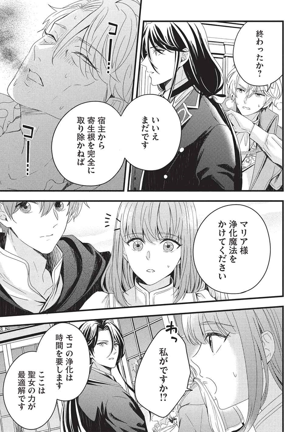 グランアヴェール～お守りの魔導師はラスボスお兄様を救いたい～ 第33話 - 7
