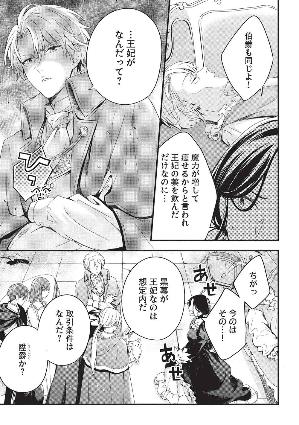 グランアヴェール～お守りの魔導師はラスボスお兄様を救いたい～ 第33話 - 17