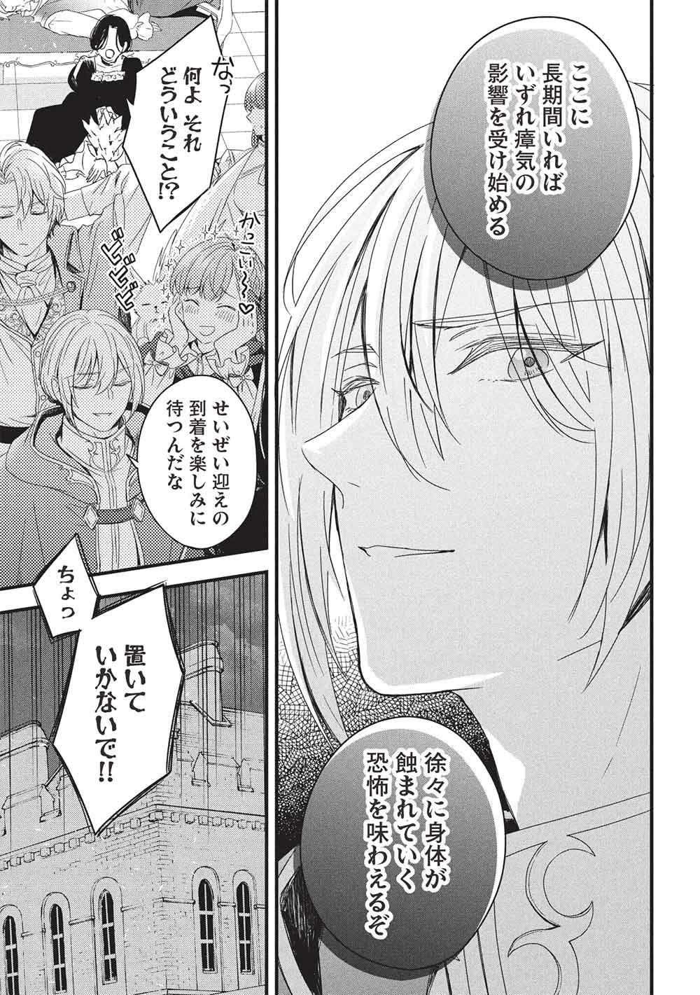 グランアヴェール～お守りの魔導師はラスボスお兄様を救いたい～ 第33話 - 23