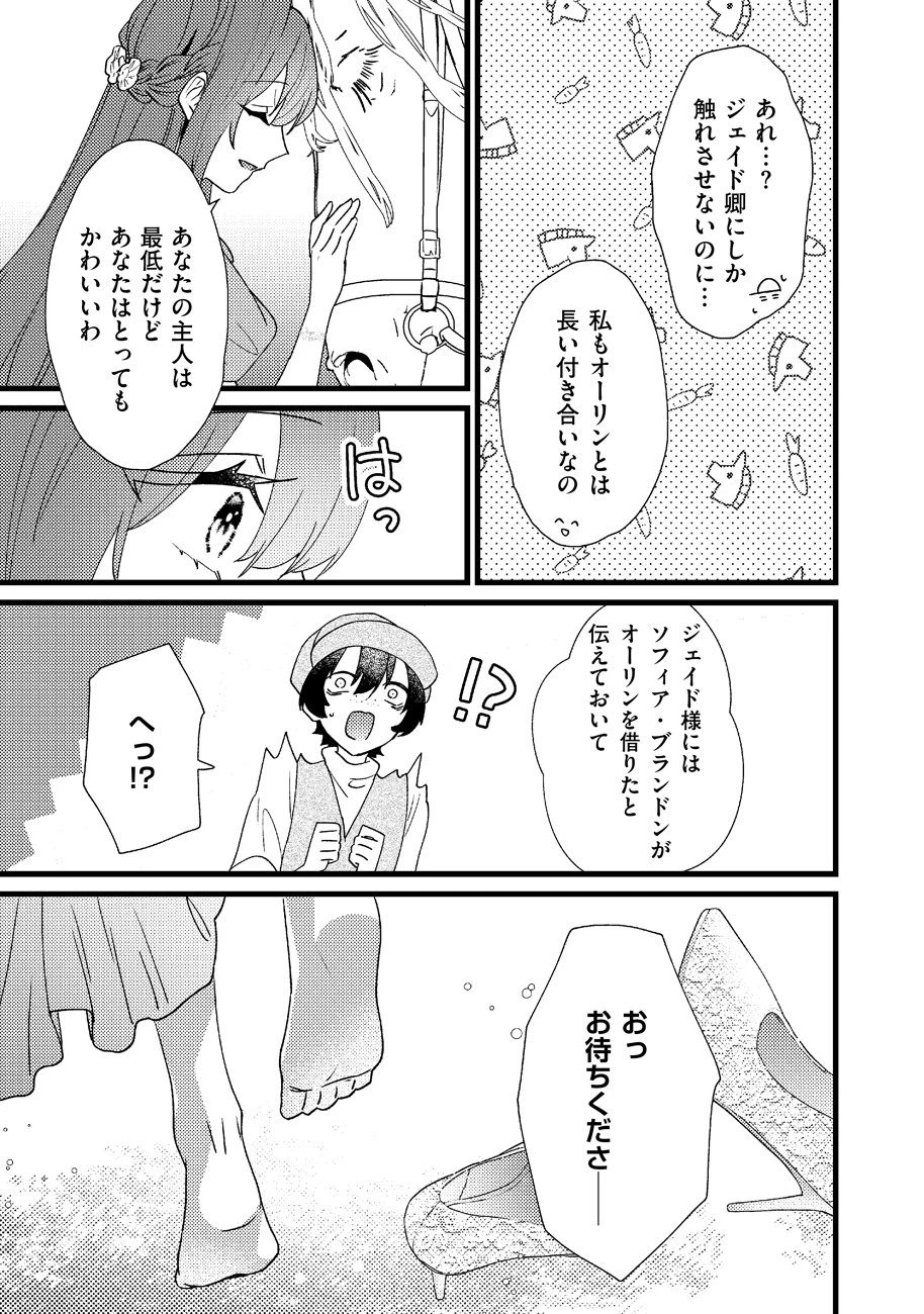 幸せなのでお構いなく!恋愛指南書頼みの次期公爵さまは、逃げる婚約者をつかまえたい 第1話 - 29