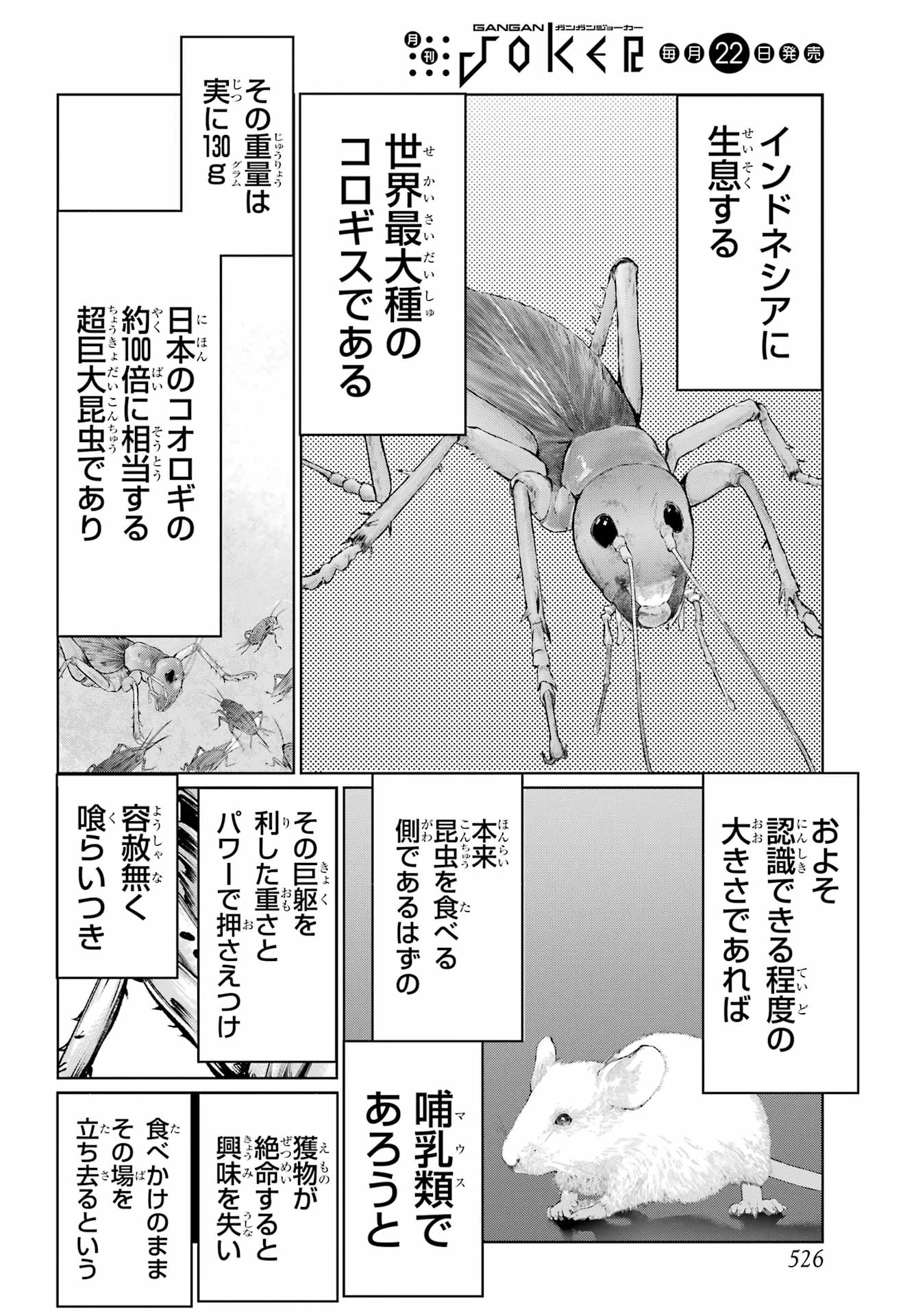 ブラットデア 第47話 - 4