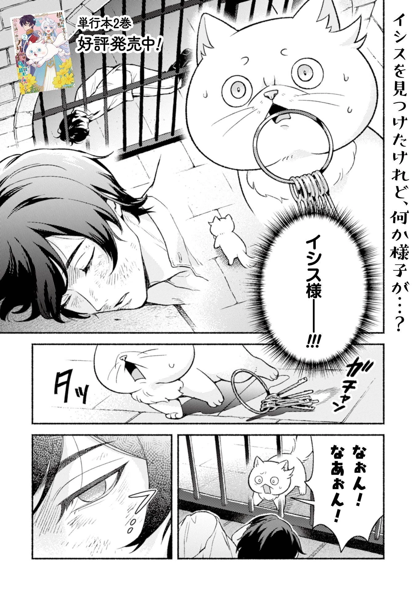 根暗騎士による溺愛満喫中のブサ猫、実は聖女です! 第13話 - 1