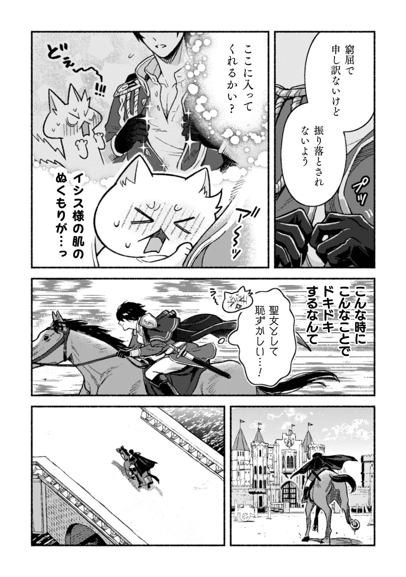 根暗騎士による溺愛満喫中のブサ猫、実は聖女です! 第13話 - 16