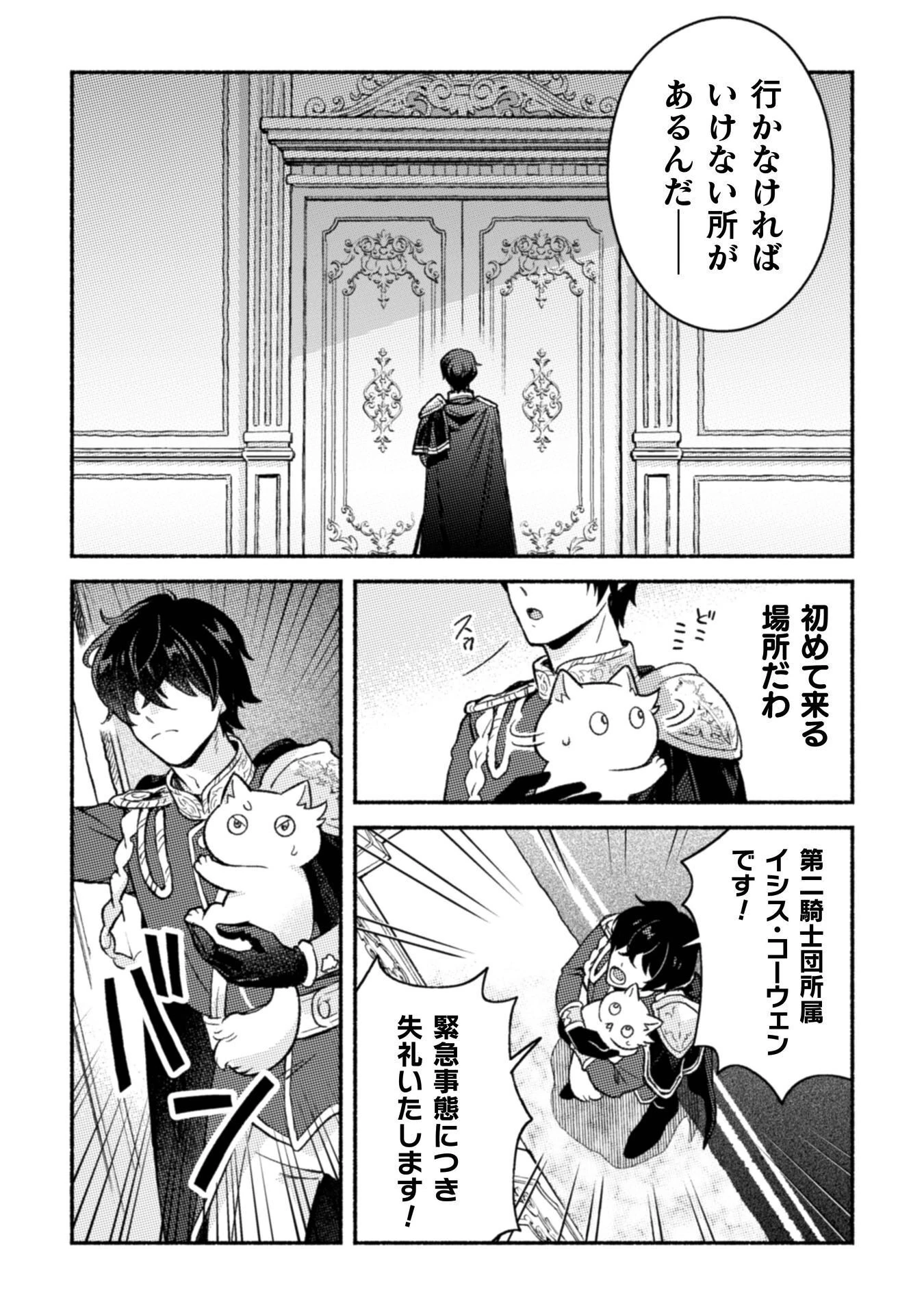 根暗騎士による溺愛満喫中のブサ猫、実は聖女です! 第13話 - 19