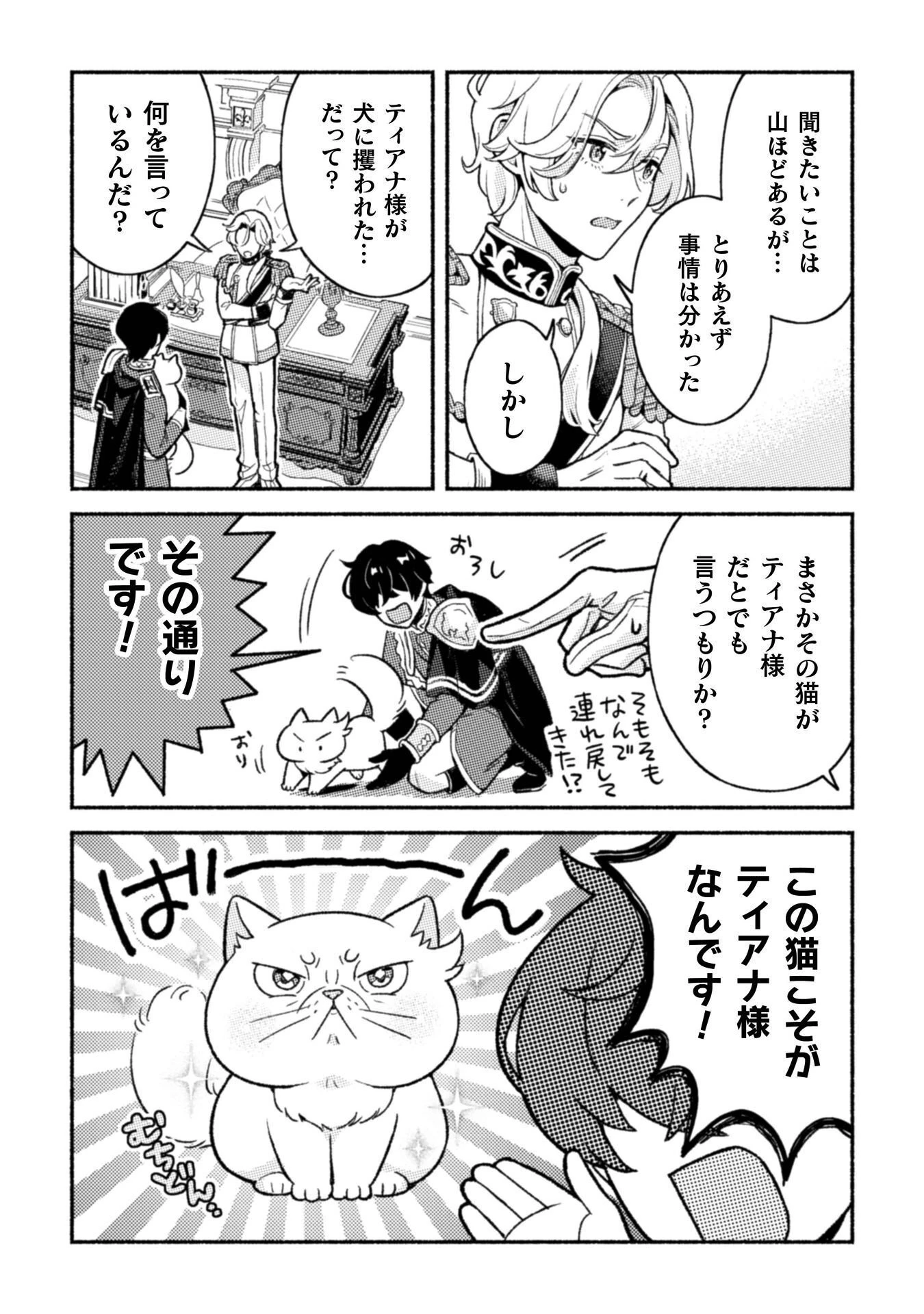 根暗騎士による溺愛満喫中のブサ猫、実は聖女です! 第13話 - 23