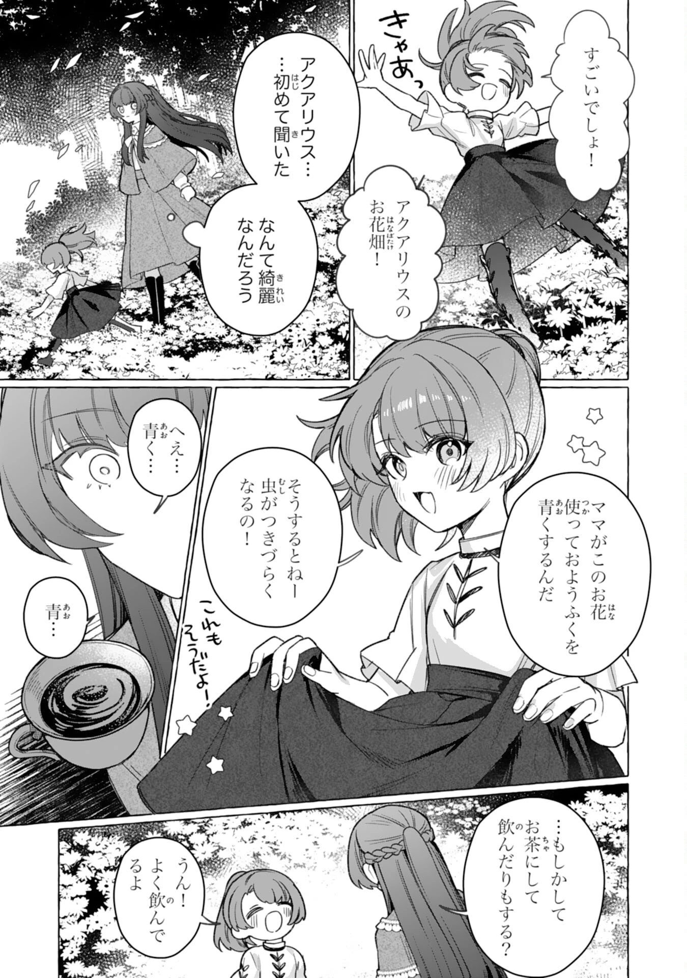 地味で無能な次女なので、私のことは忘れてください～私を虐げた家族の皆様、破滅はどうぞご勝手に～ 第6話 - 5