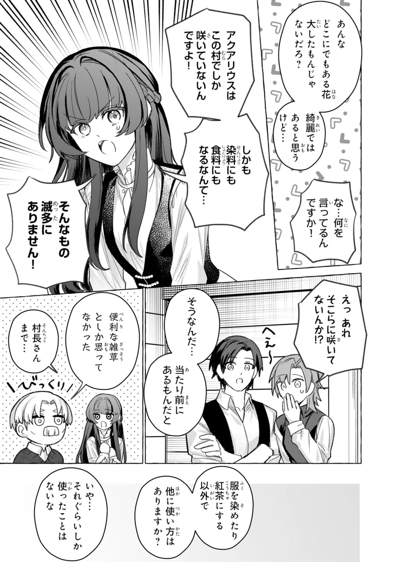 地味で無能な次女なので、私のことは忘れてください～私を虐げた家族の皆様、破滅はどうぞご勝手に～ 第6話 - 19
