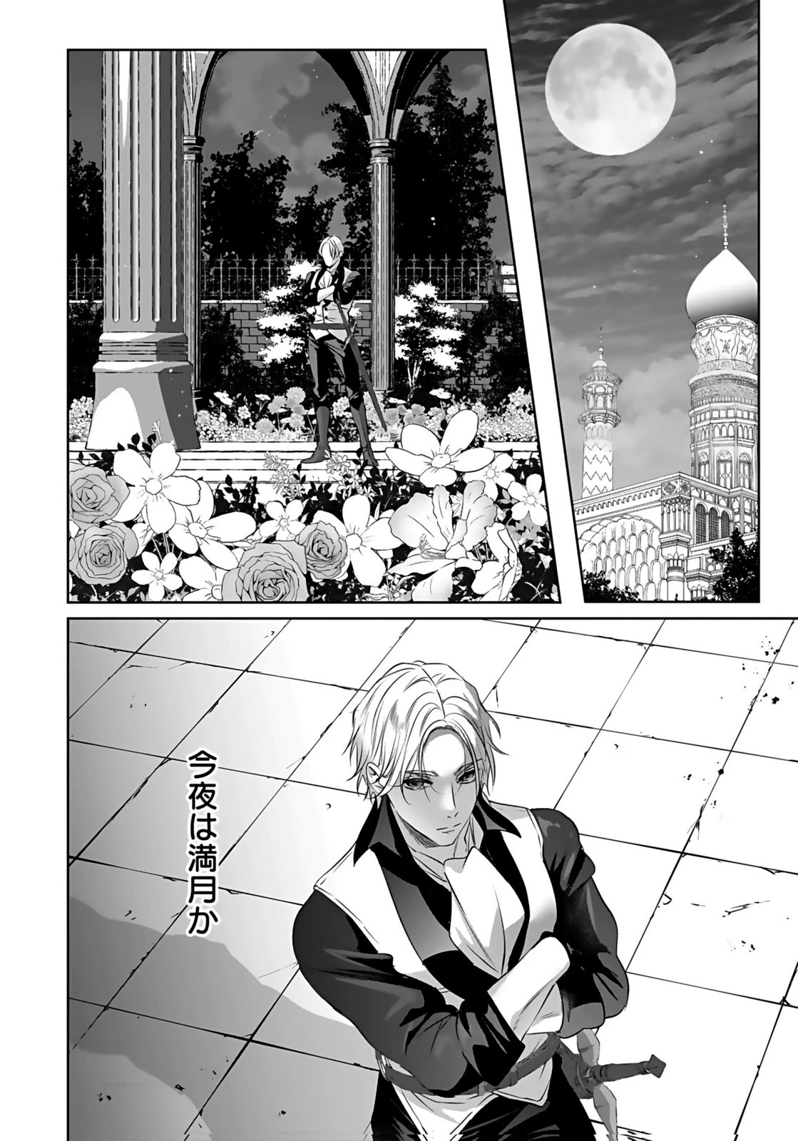 失格王子の後宮征服記 魔力無しの王子は後宮の妃を味方にして玉座を奪う 第14話 - 24