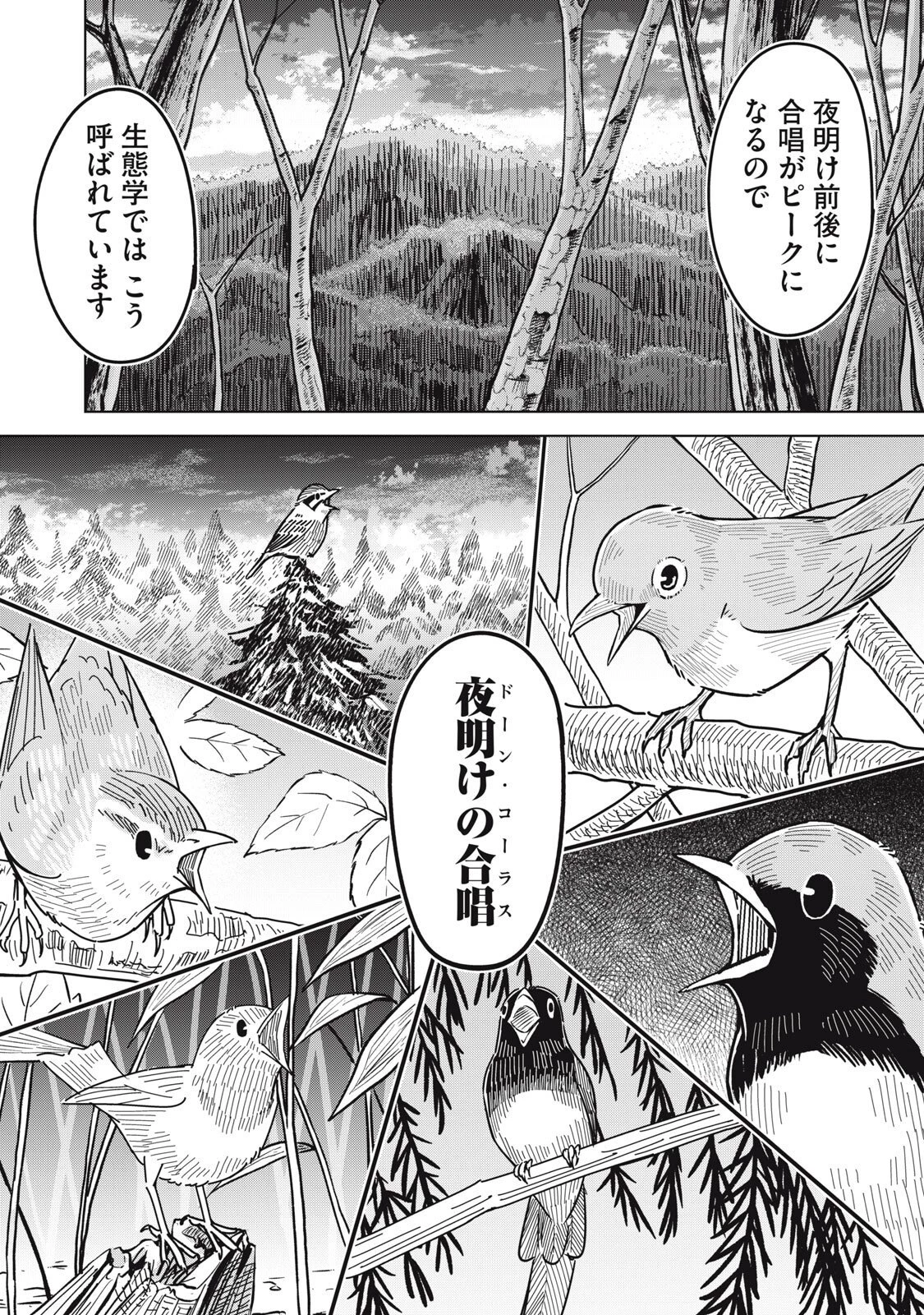 ウサギとカメのゆる山歩 第8話 - 13