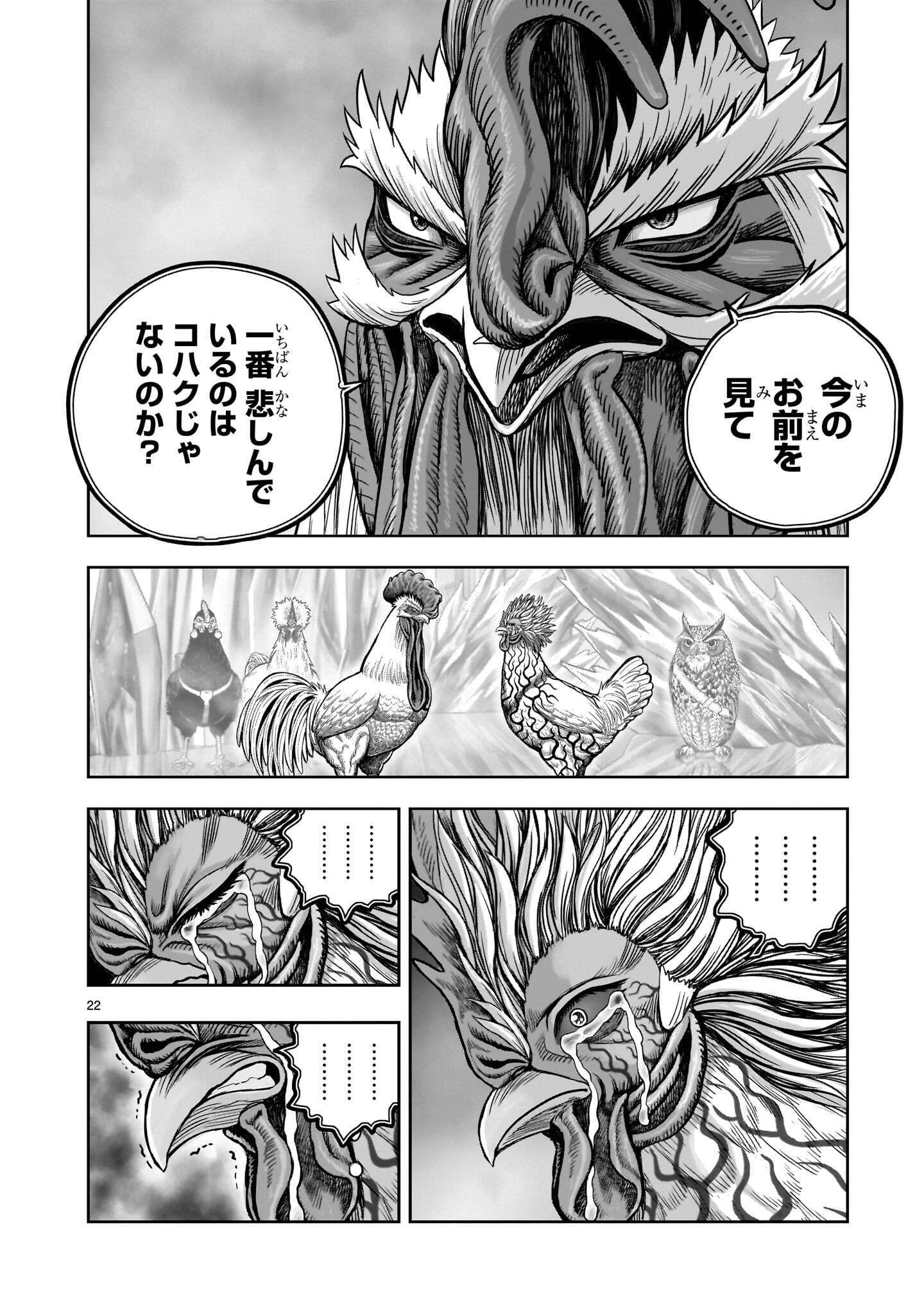 ニワトリ・ファイター 第62話 - 22