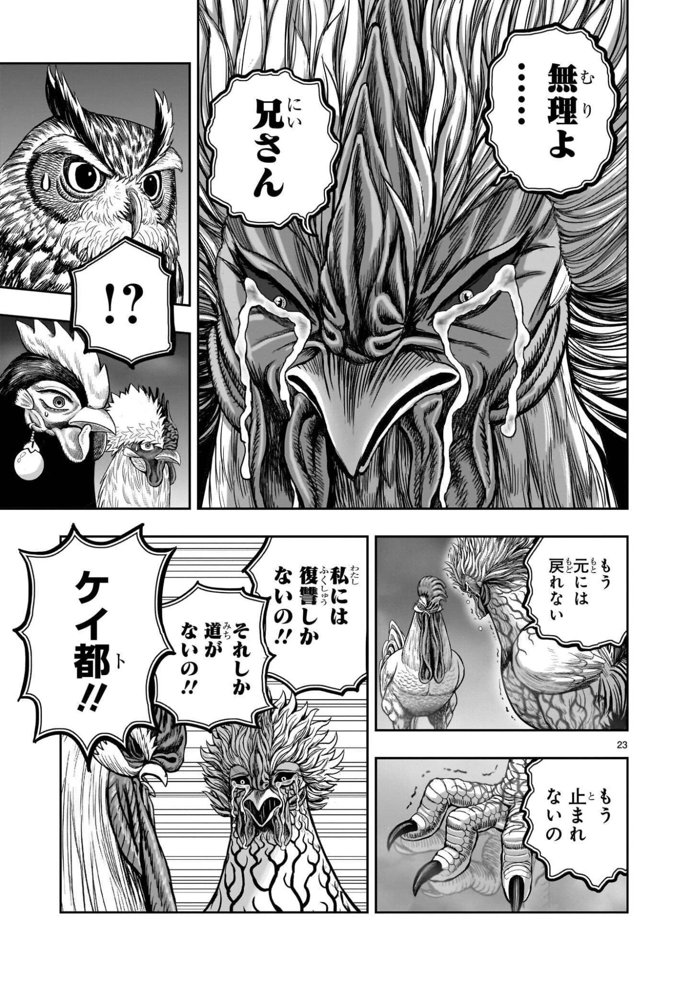 ニワトリ・ファイター 第62話 - 23