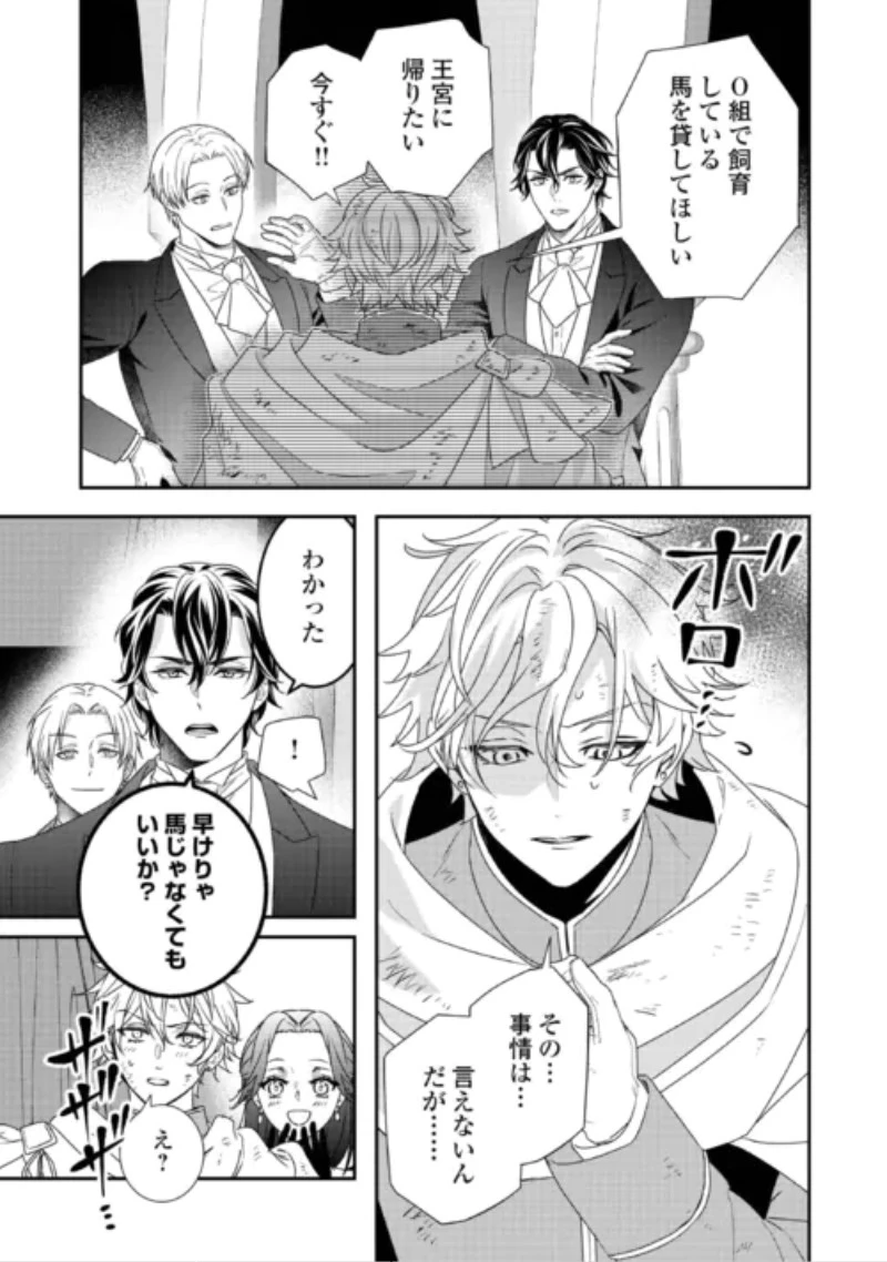 処刑される当て馬王子、私が幸せにいたします! 第11話 - 17