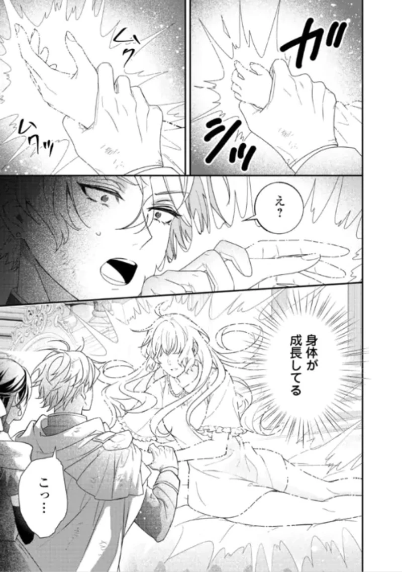 処刑される当て馬王子、私が幸せにいたします! 第11話 - 31