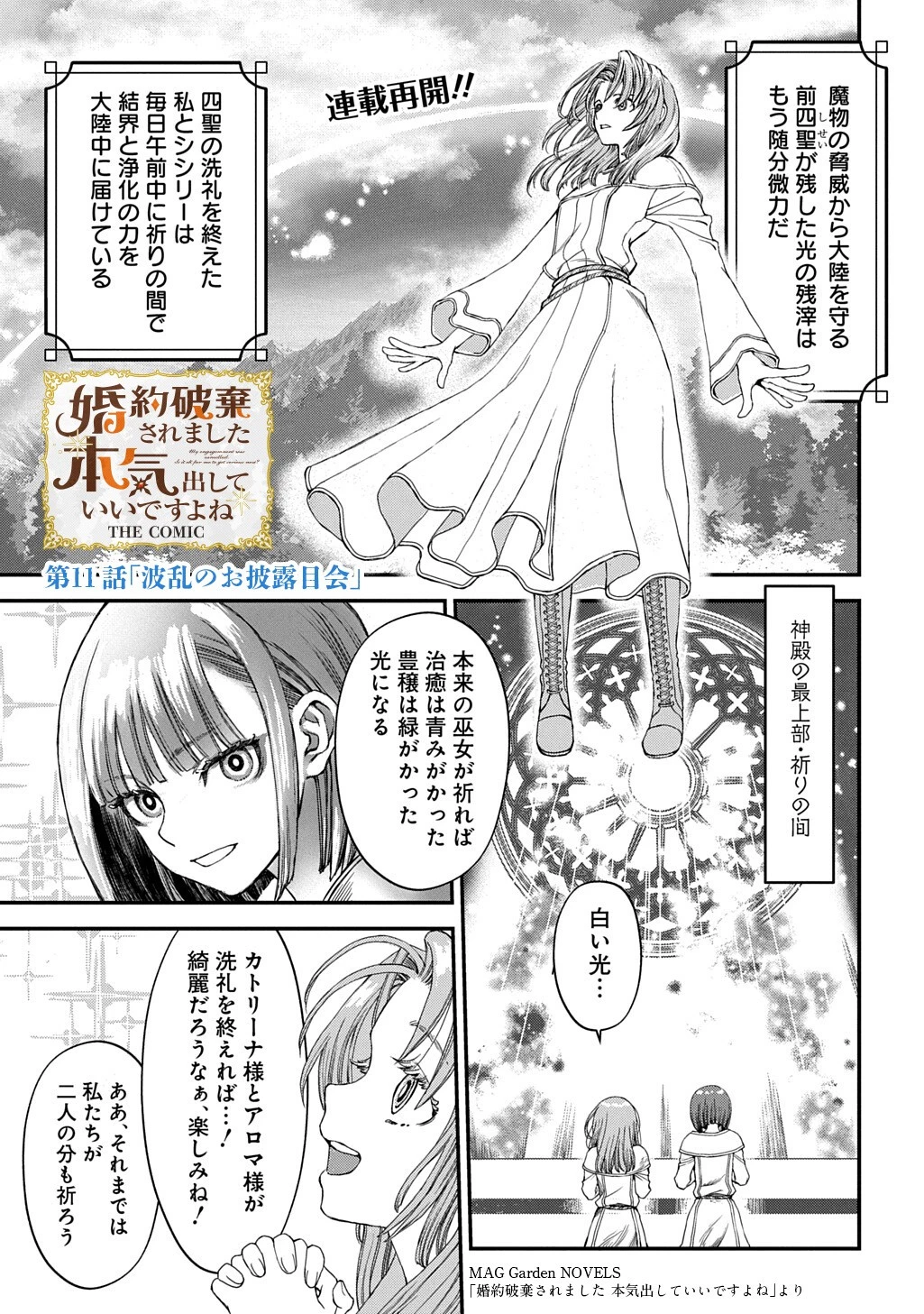 婚約破棄されました 本気出していいですよね THE COMIC 第11話 - 1