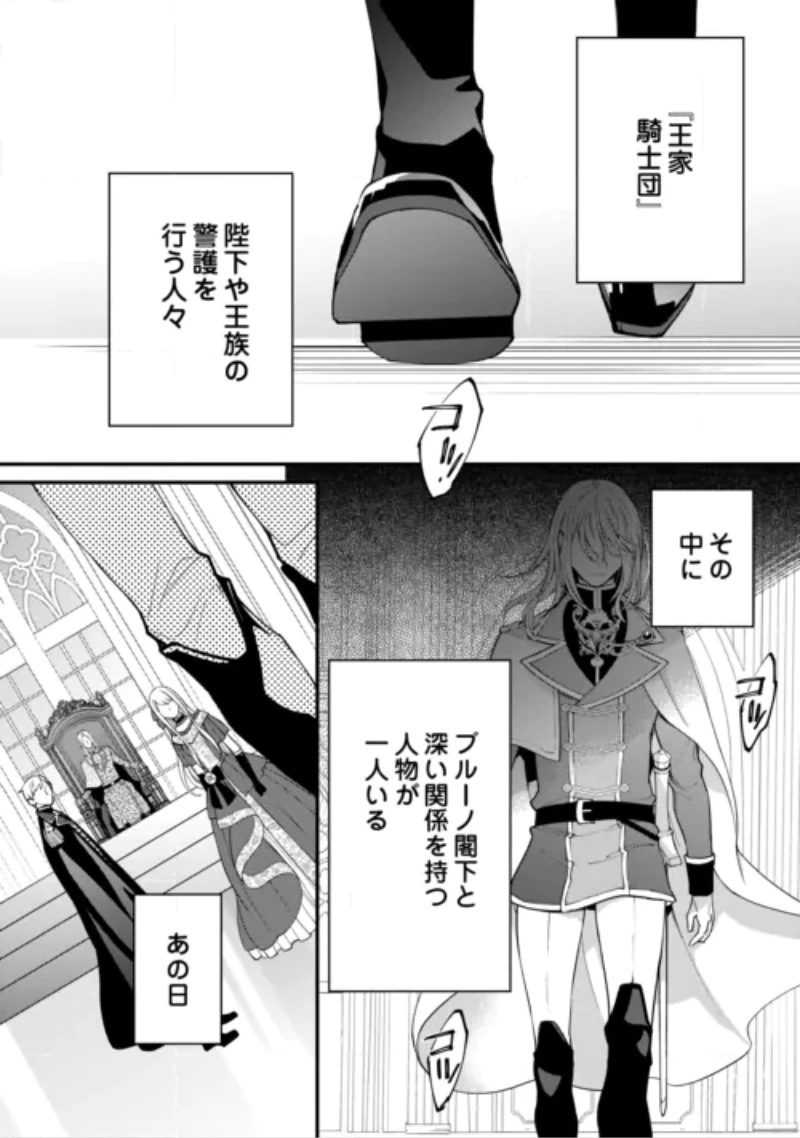 本日、貴方を愛するのをやめます ～王妃と不倫した貴方が悪いのですよ?～ 第15話 - 12