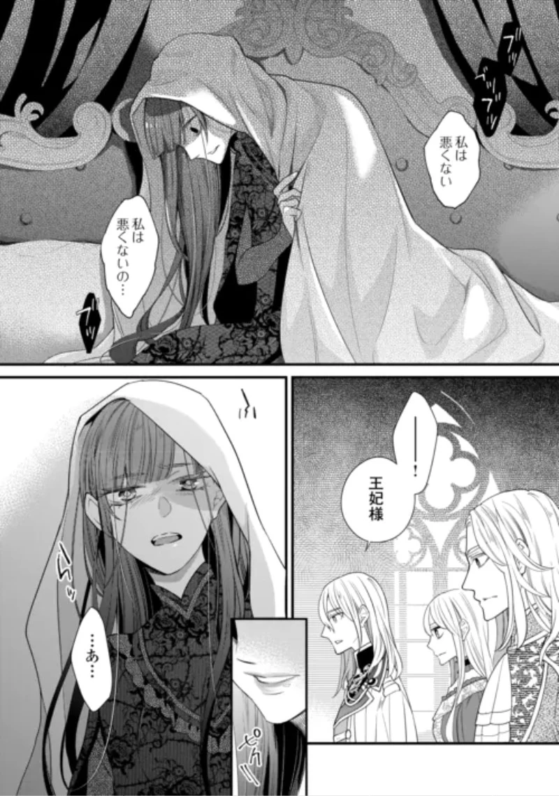 本日、貴方を愛するのをやめます ～王妃と不倫した貴方が悪いのですよ?～ 第15話 - 24