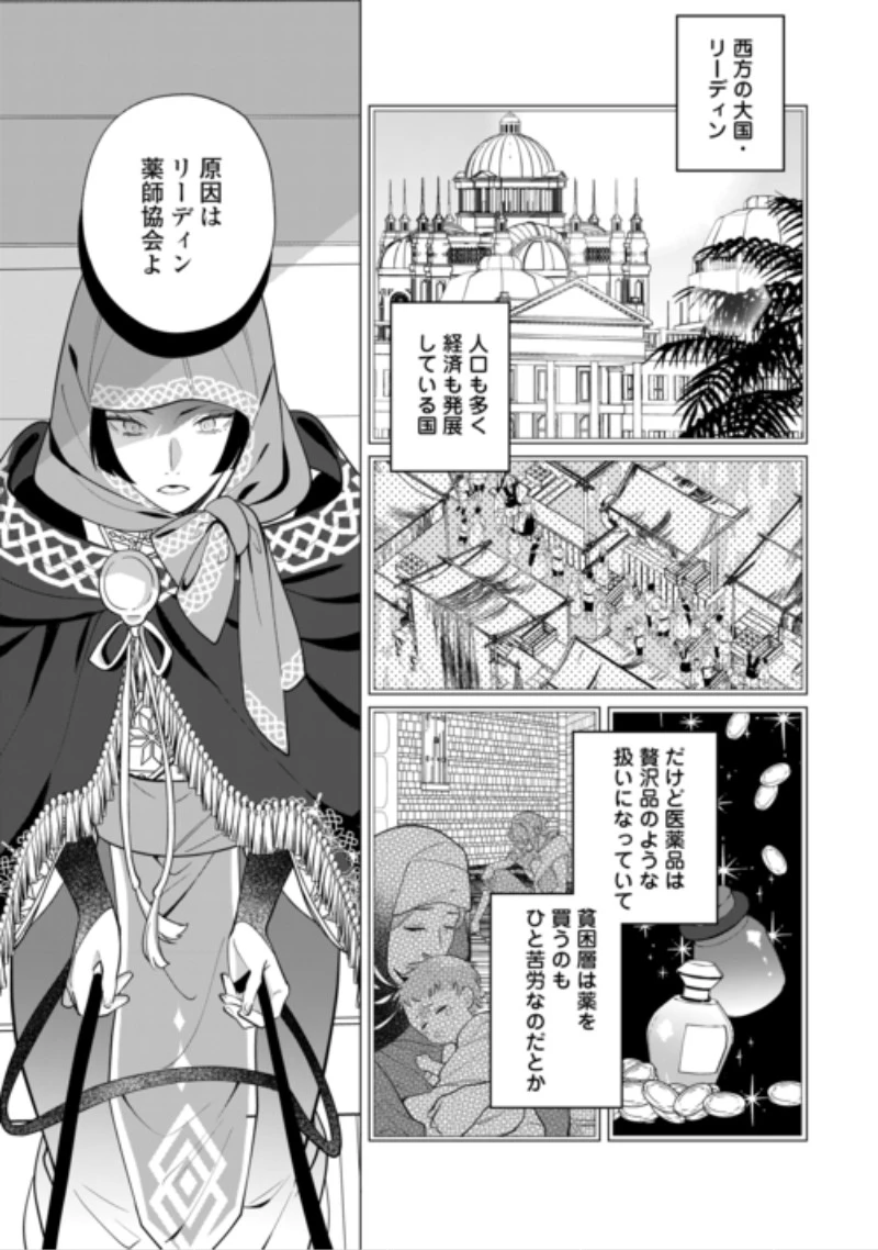 私を追い出すのはいいですけど、この家の薬作ったの全部私ですよ？ 第23話 - 15