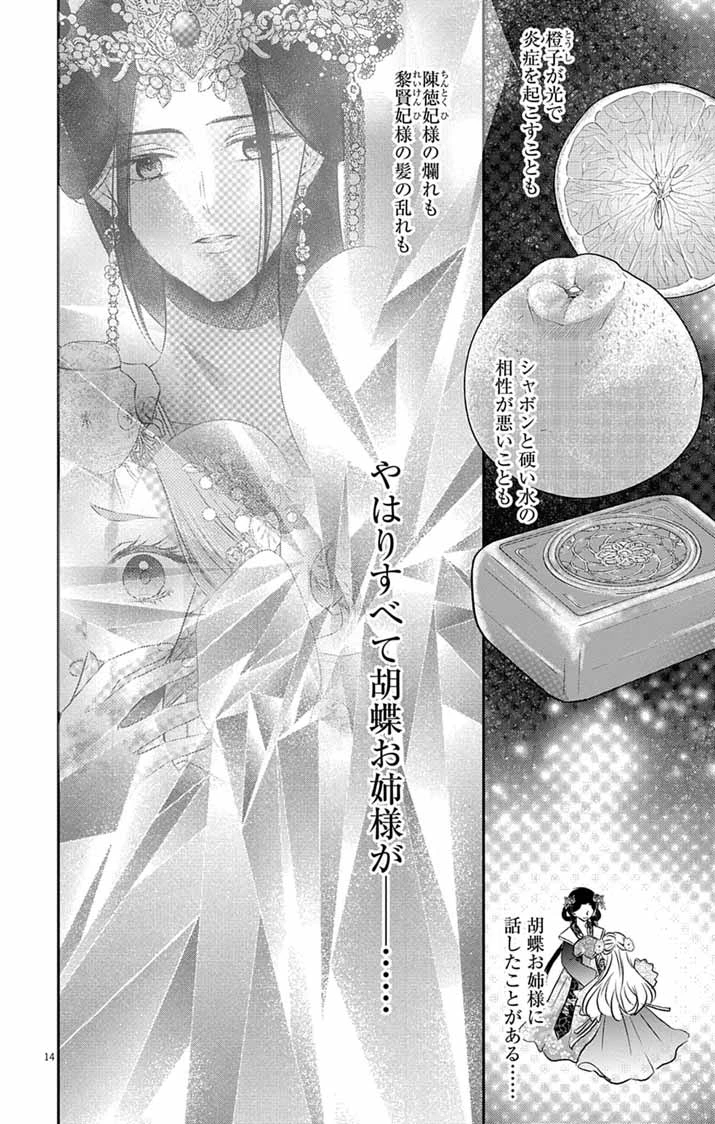 皇弟殿下の薬湯妃～初恋の人との駆け落ち先は後宮でした～ 第15話 - 14