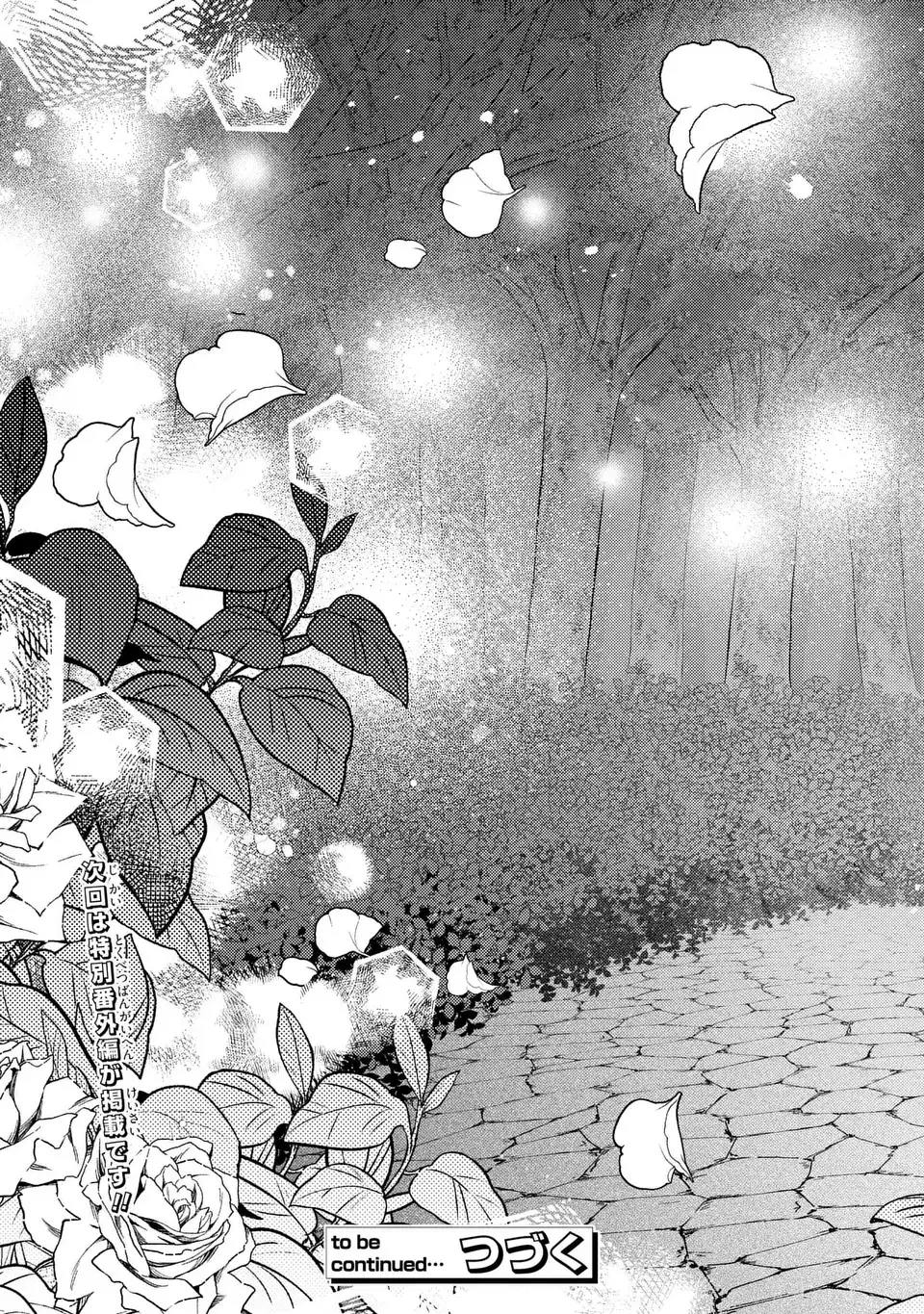 捨てられ男爵令嬢は黒騎士様のお気に入り 第45話 - 31