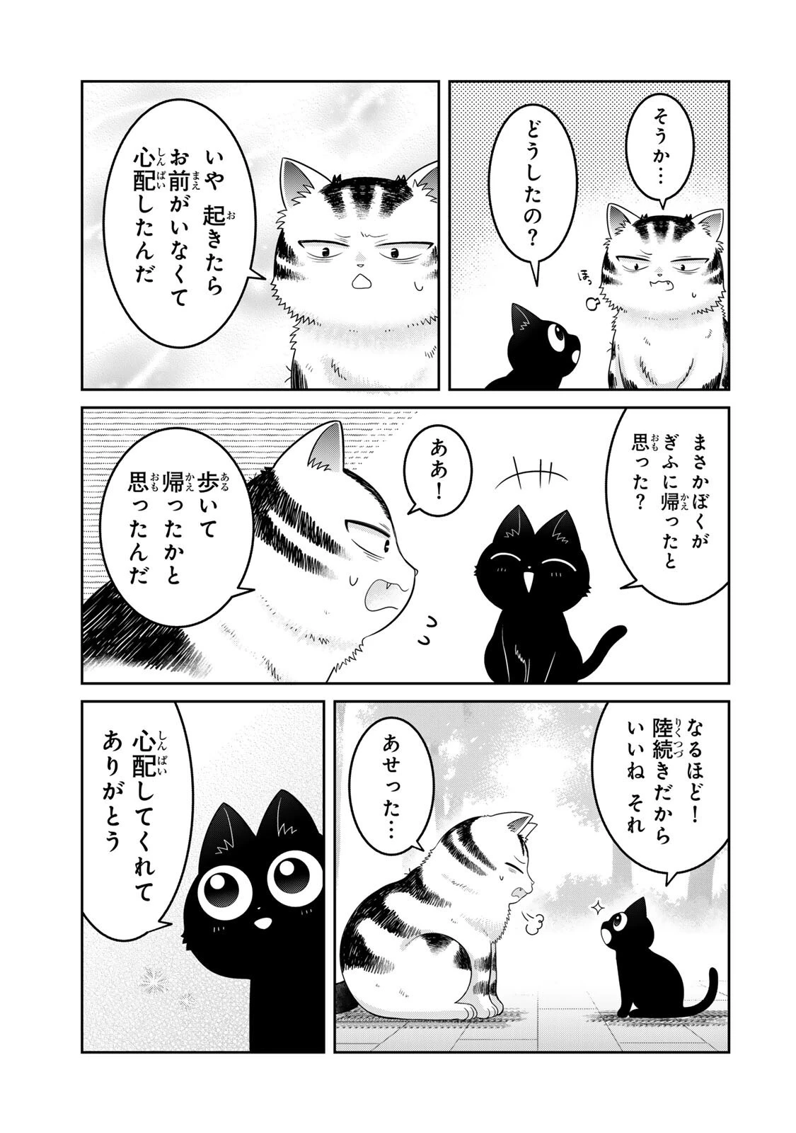 ルドルフとイッパイアッテナ 第12話 - 13