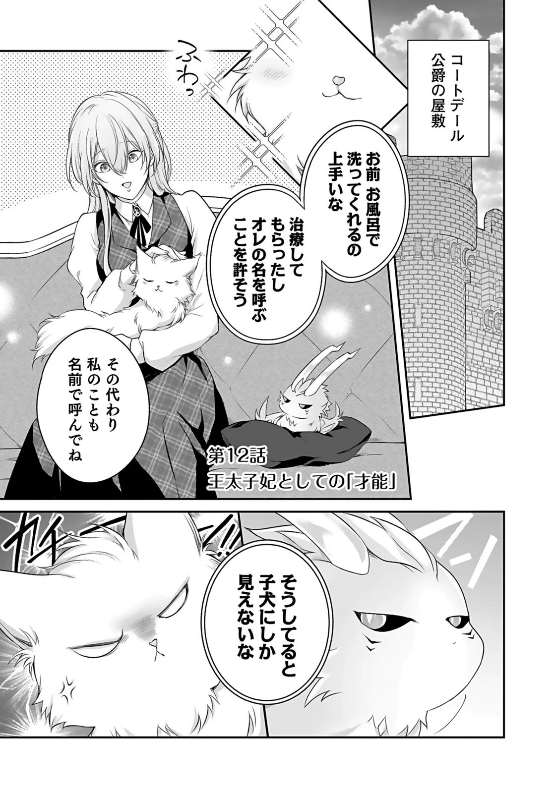 婚約破棄された王太子を慰めたら、業務命令のふりした溺愛が始まりました。 第12話 - 1