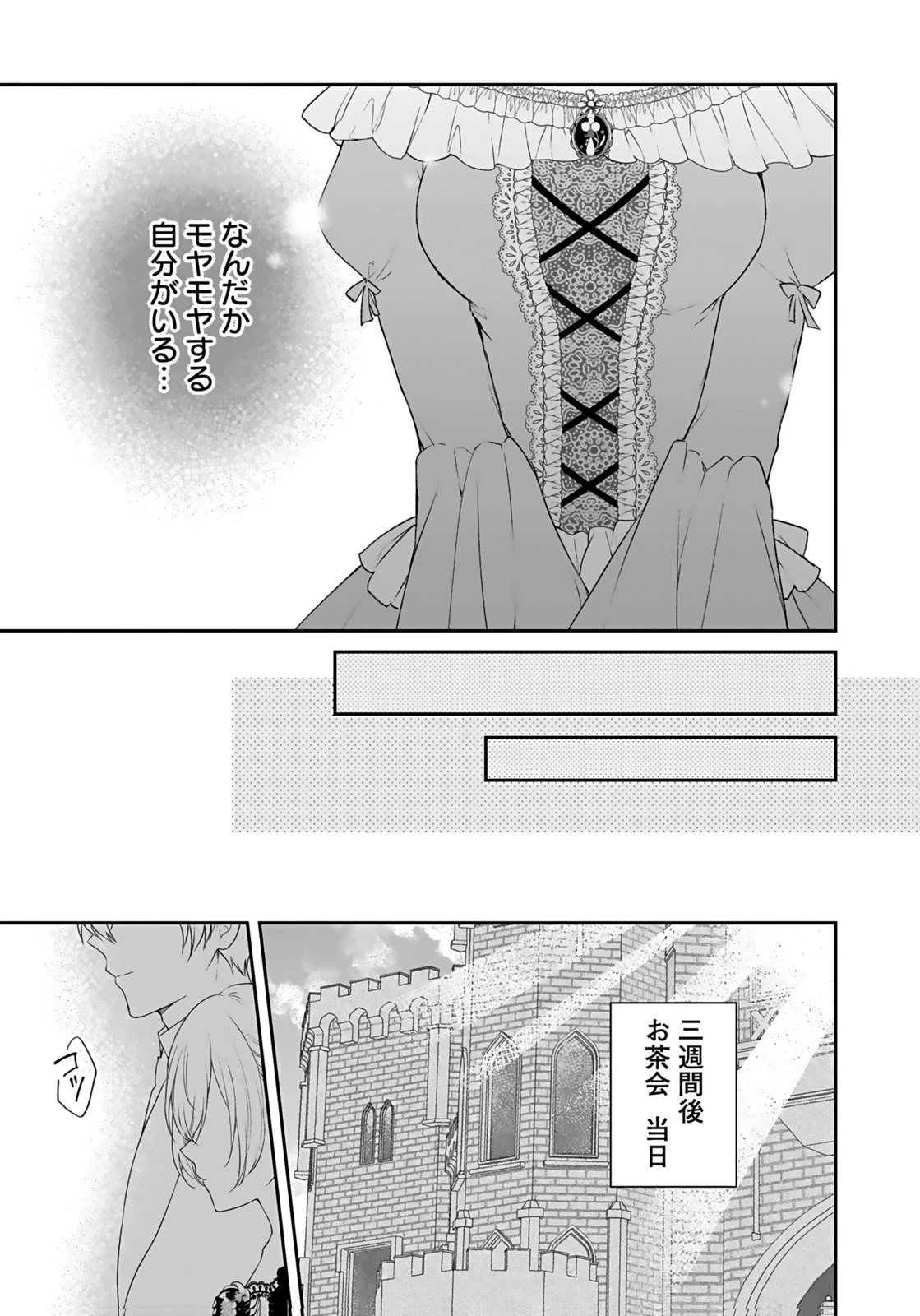 婚約破棄された王太子を慰めたら、業務命令のふりした溺愛が始まりました。 第7話 - 27