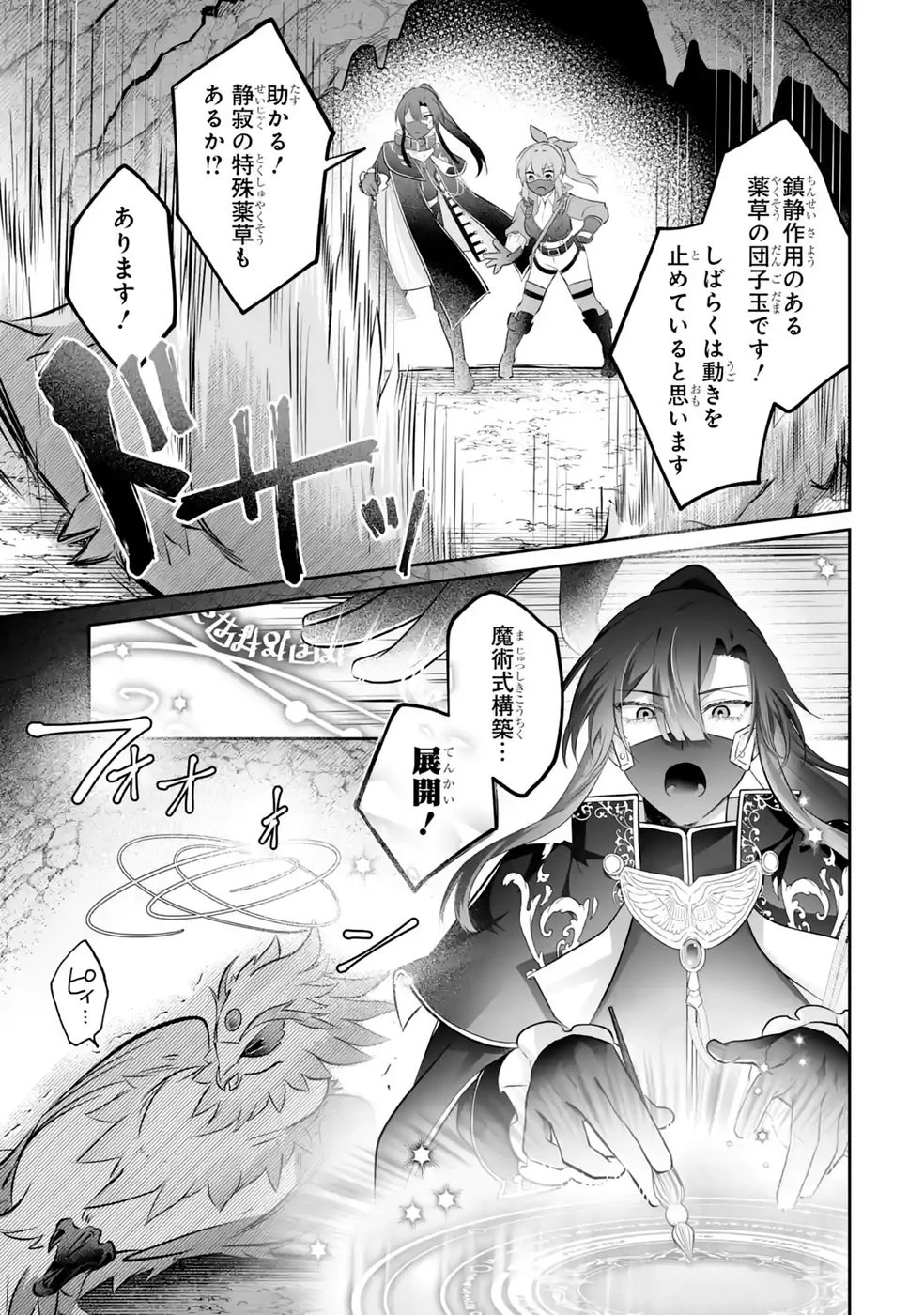 聖女の姉ですが、妹のための特殊魔石や特殊薬草の採取をやめたら、隣国の魔術師様の元で幸せになりました！ 第14話 - 29