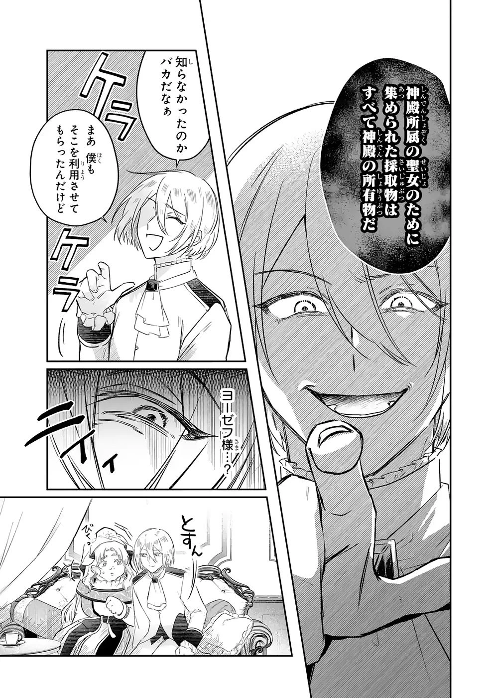 聖女の姉ですが、妹のための特殊魔石や特殊薬草の採取をやめたら、隣国の魔術師様の元で幸せになりました！ 第8話 - 19