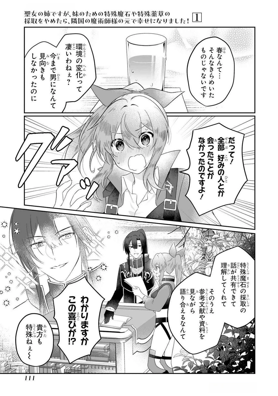 聖女の姉ですが、妹のための特殊魔石や特殊薬草の採取をやめたら、隣国の魔術師様の元で幸せになりました！ 第3話 - 3