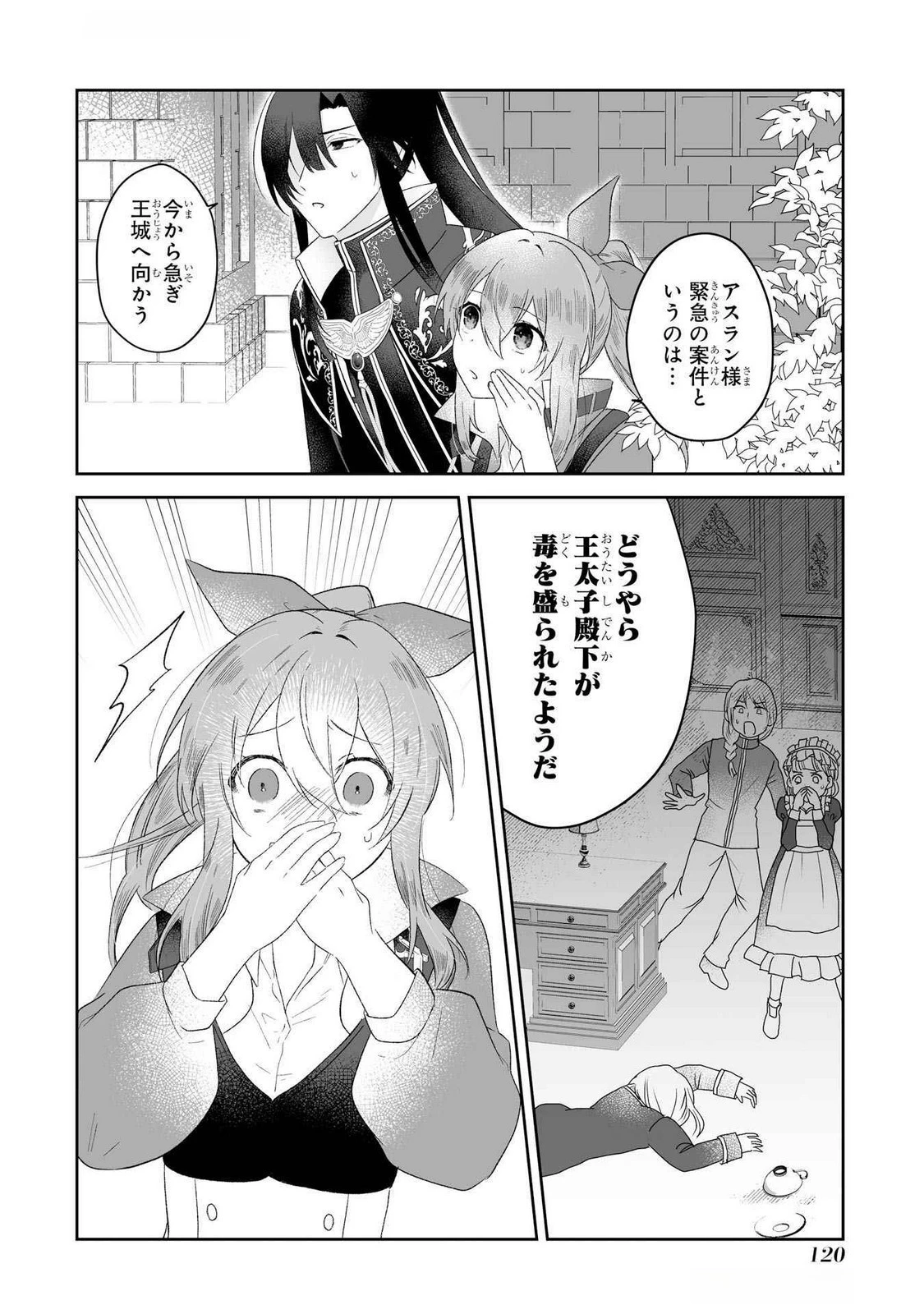 聖女の姉ですが、妹のための特殊魔石や特殊薬草の採取をやめたら、隣国の魔術師様の元で幸せになりました！ 第3話 - 12