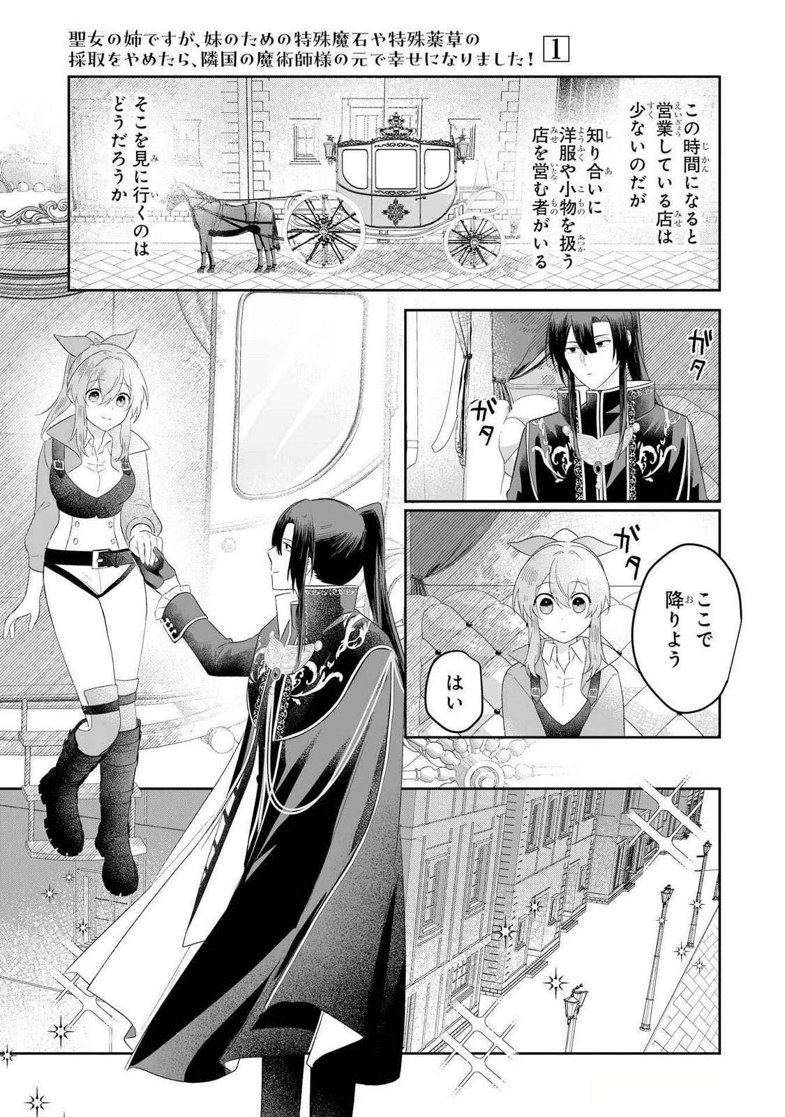 聖女の姉ですが、妹のための特殊魔石や特殊薬草の採取をやめたら、隣国の魔術師様の元で幸せになりました！ 第4話 - 25