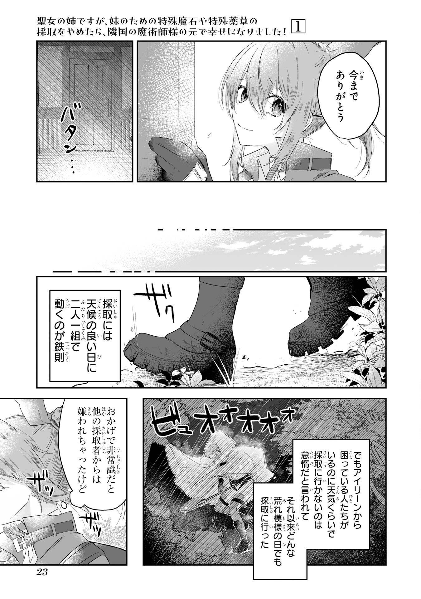 聖女の姉ですが、妹のための特殊魔石や特殊薬草の採取をやめたら、隣国の魔術師様の元で幸せになりました！ 第1話 - 21