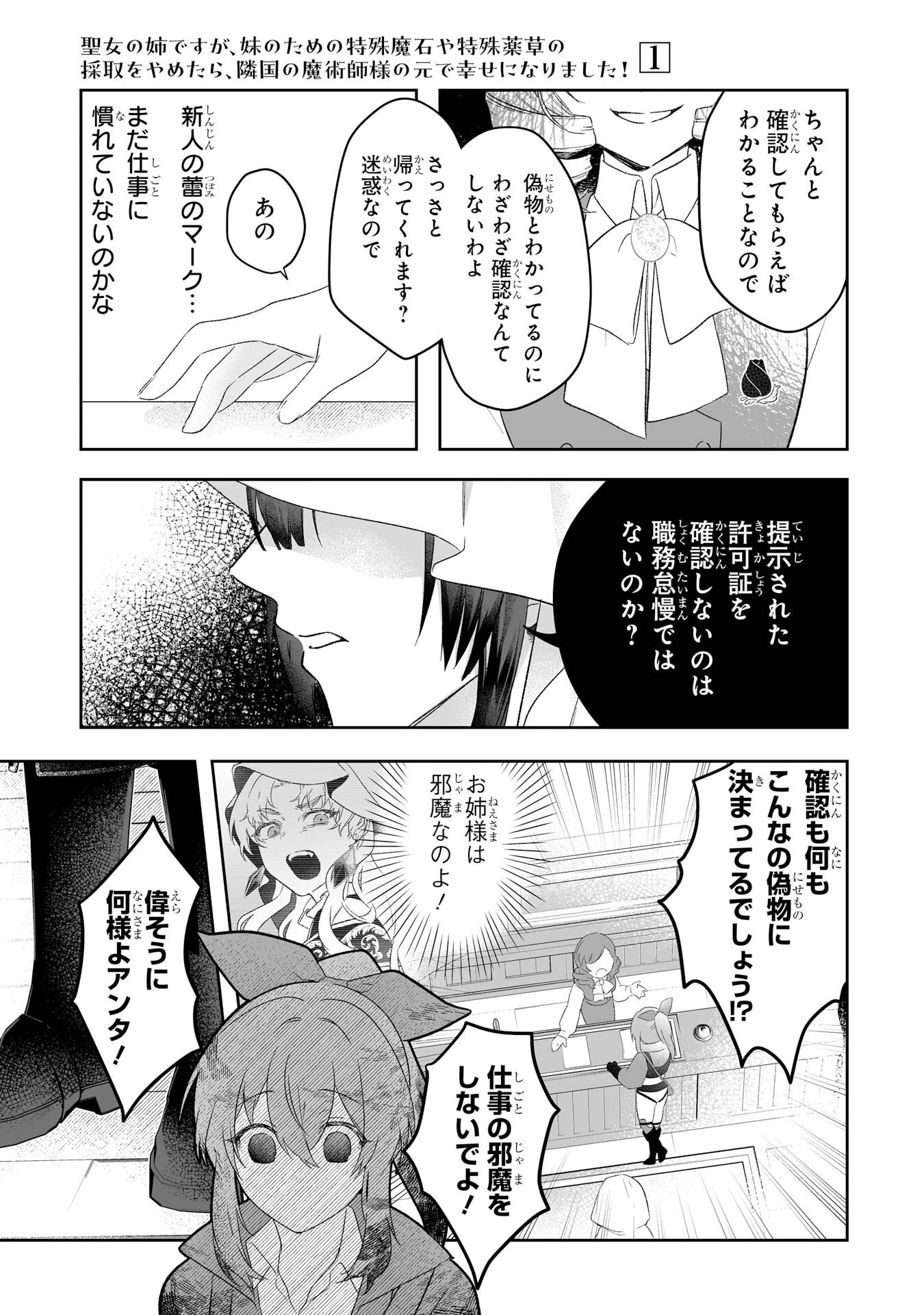 聖女の姉ですが、妹のための特殊魔石や特殊薬草の採取をやめたら、隣国の魔術師様の元で幸せになりました！ 第2話 - 27