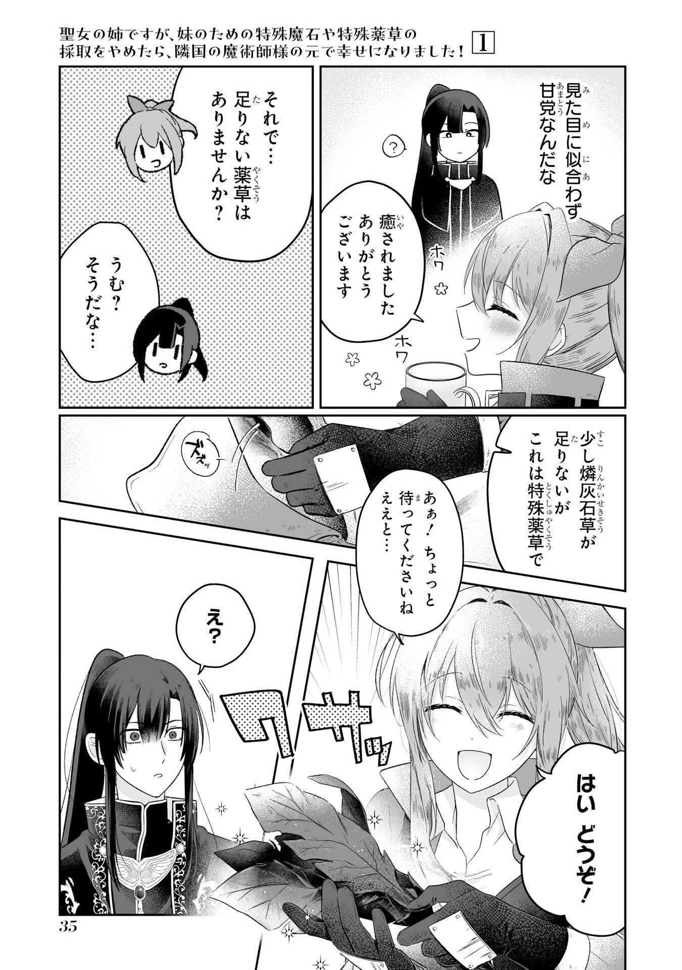 聖女の姉ですが、妹のための特殊魔石や特殊薬草の採取をやめたら、隣国の魔術師様の元で幸せになりました！ 第1話 - 33